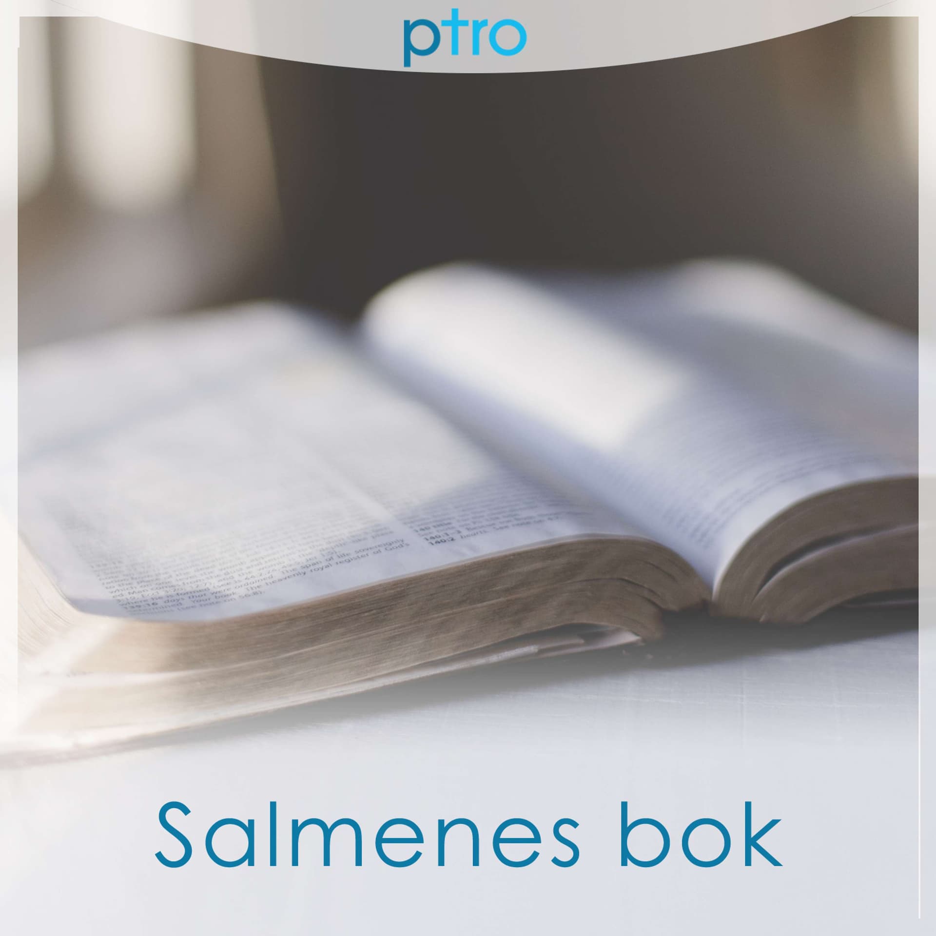Bibelguiden - Salmene - Podcasts