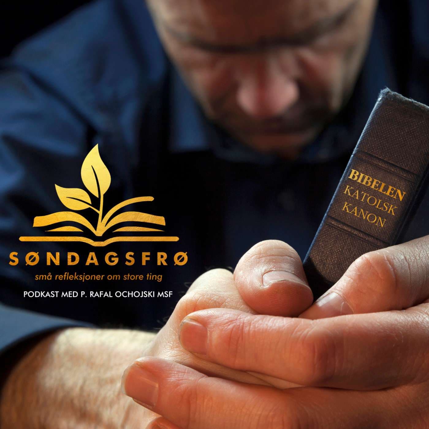 Søndagsfrø med p. Rafal Ochojski MSF - Podcasts