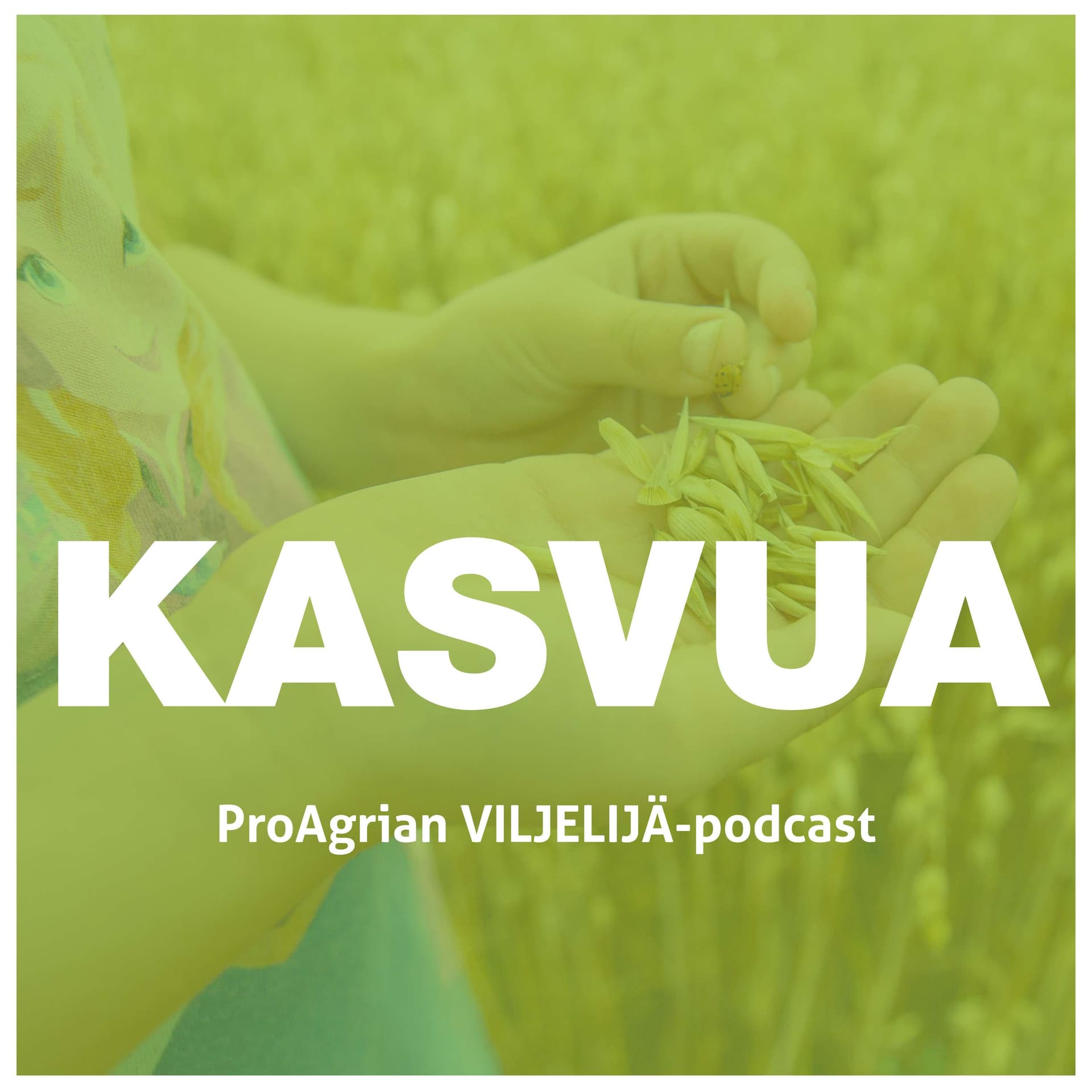 Kasvua - Podcasts