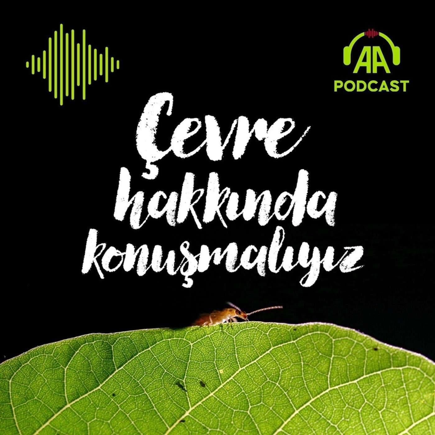 Çevre hakkında konuşmalıyız - Podcasts