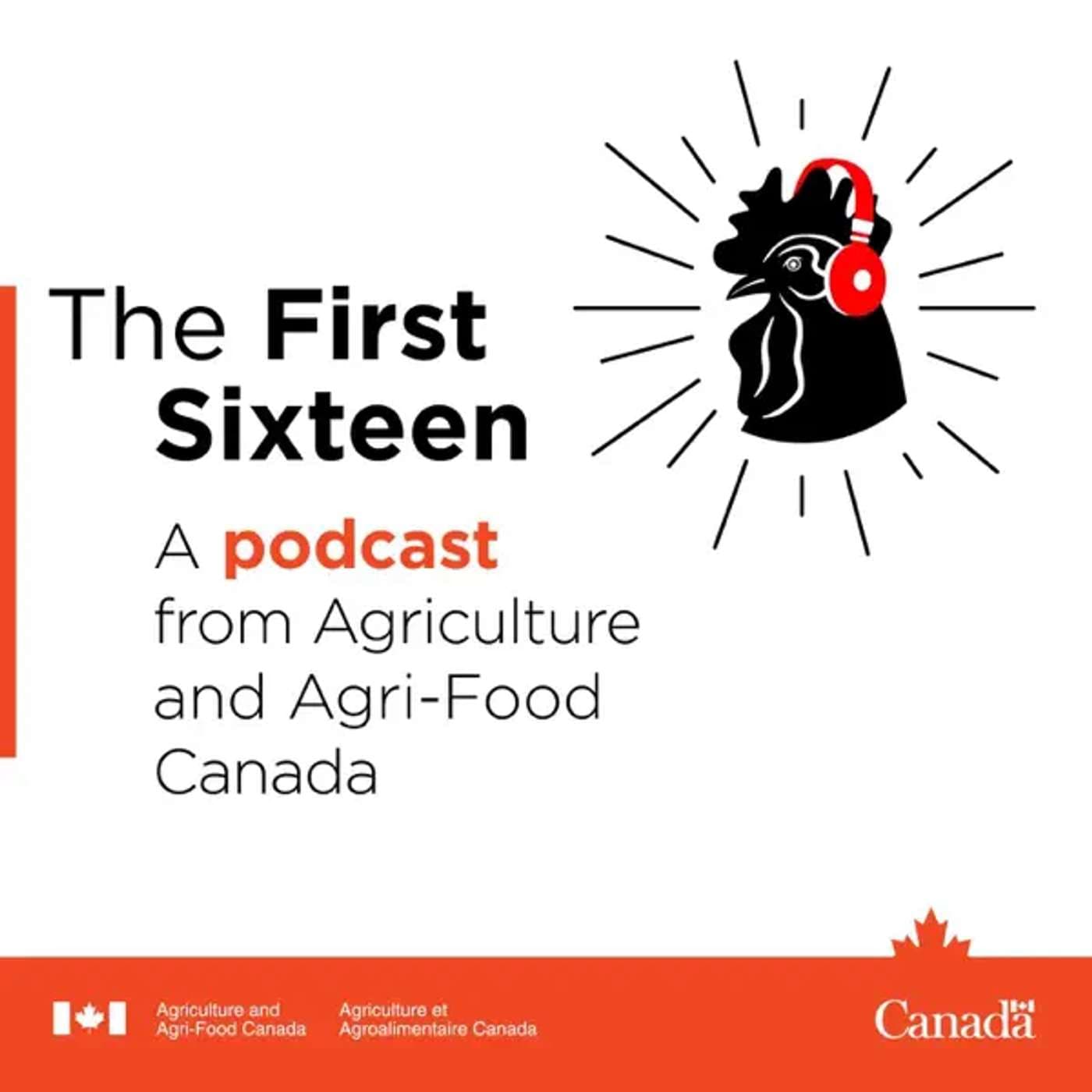 The First Sixteen - Podcasts