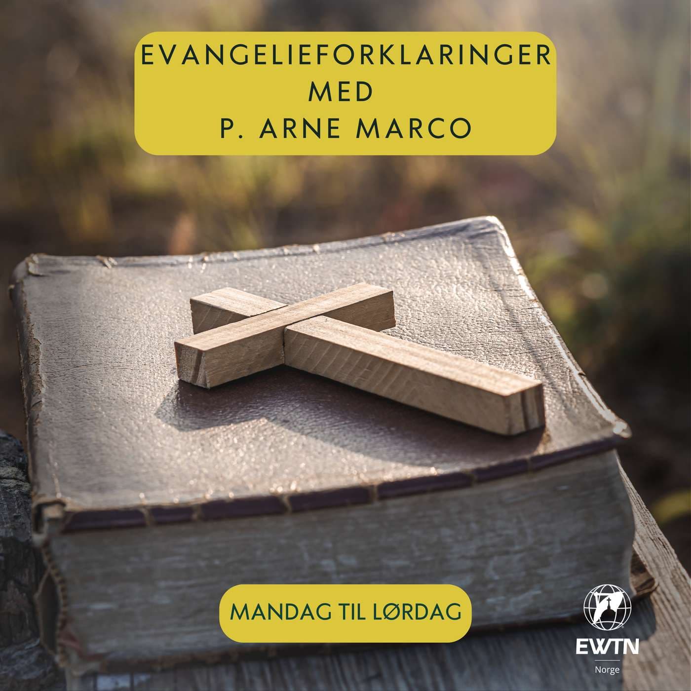 Evangelieforklaringer med pater Arne Marco - Podcasts