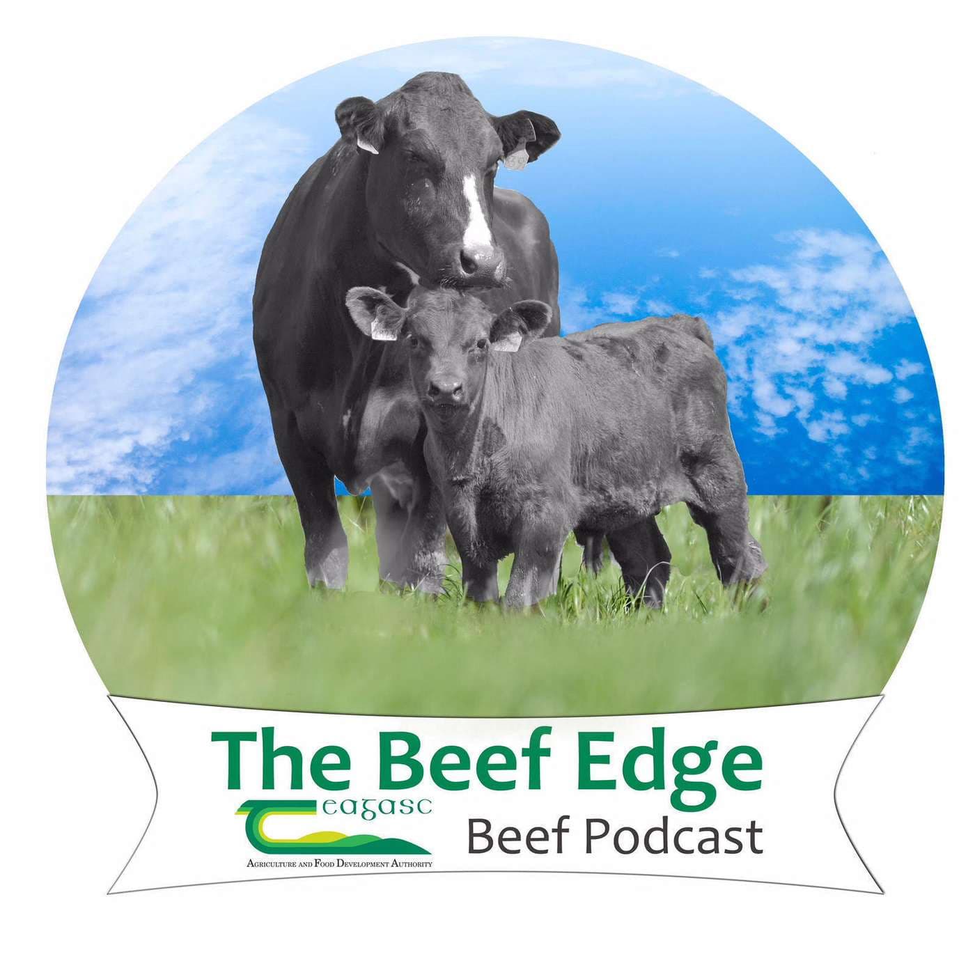 The Beef Edge - Podcasts