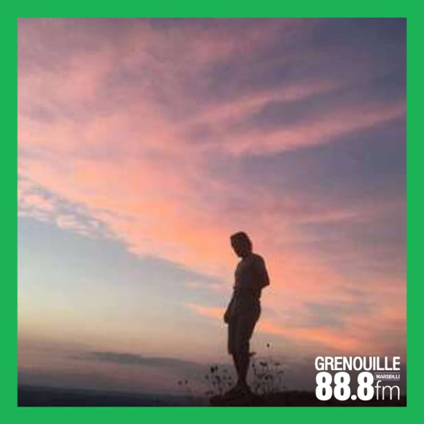 Naturotavie - Vincent - Podcasts