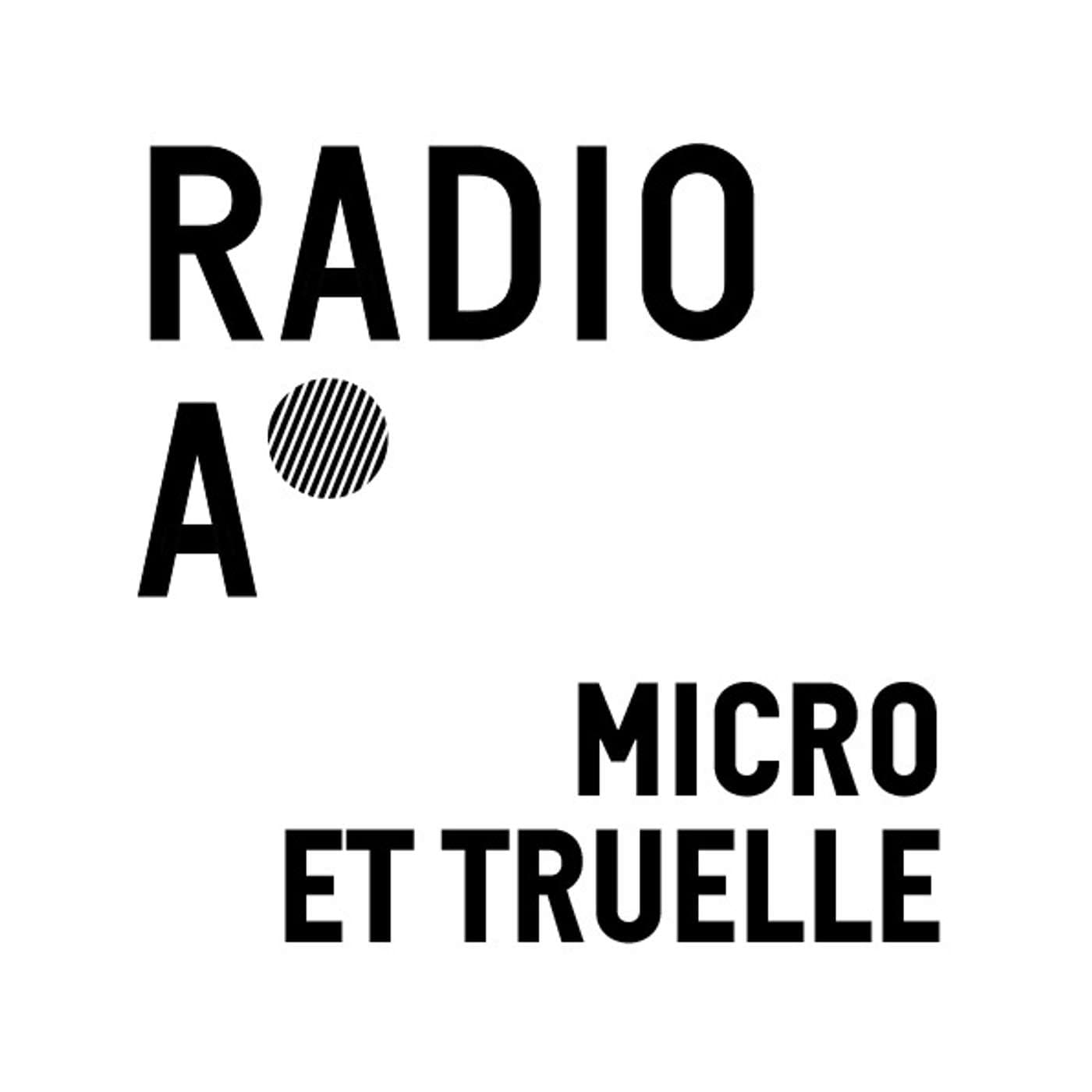 Micro et truelle, la chronique des archéologues de la Ville de Lyon - Podcasts