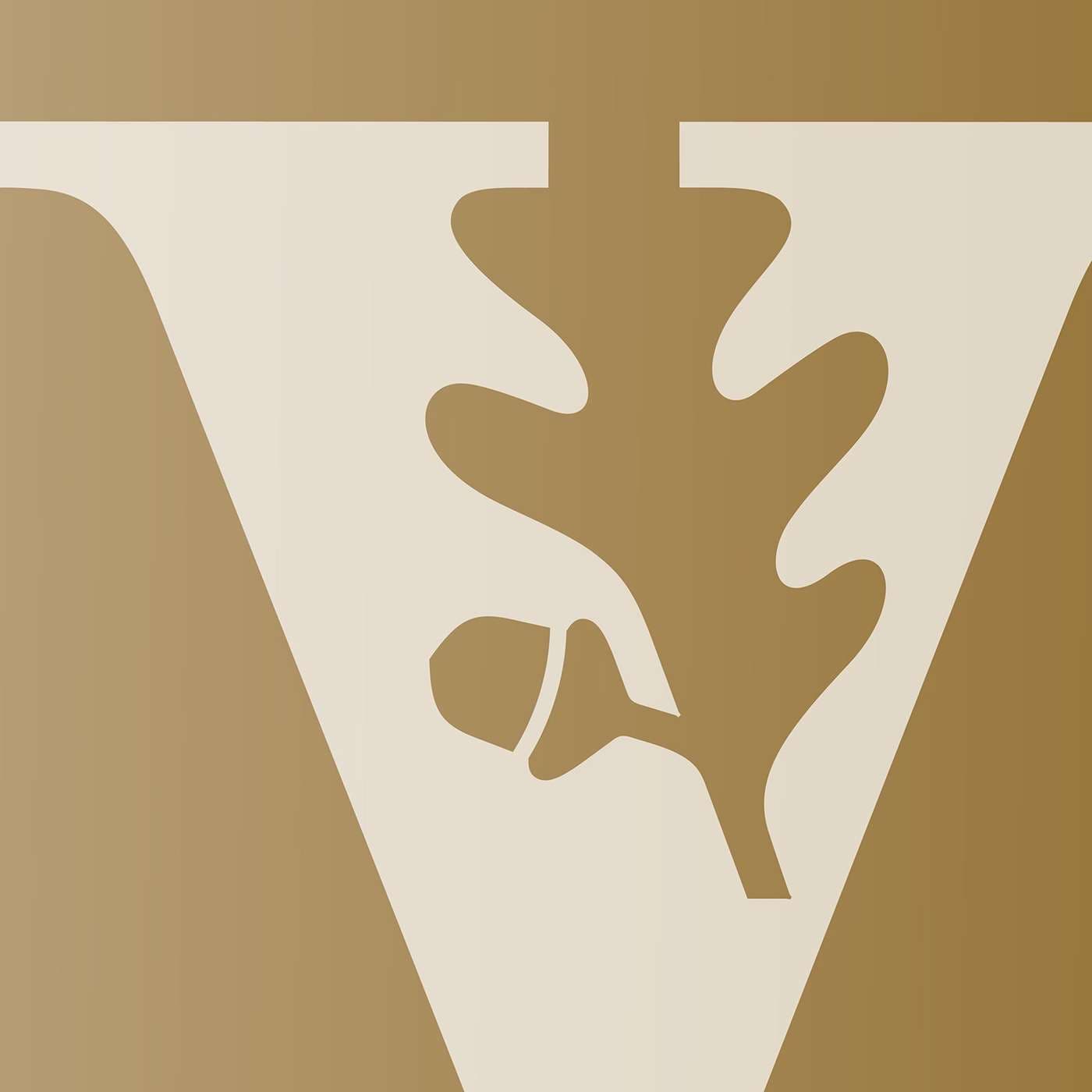 Vanderbilt TRIAD - Podcasts