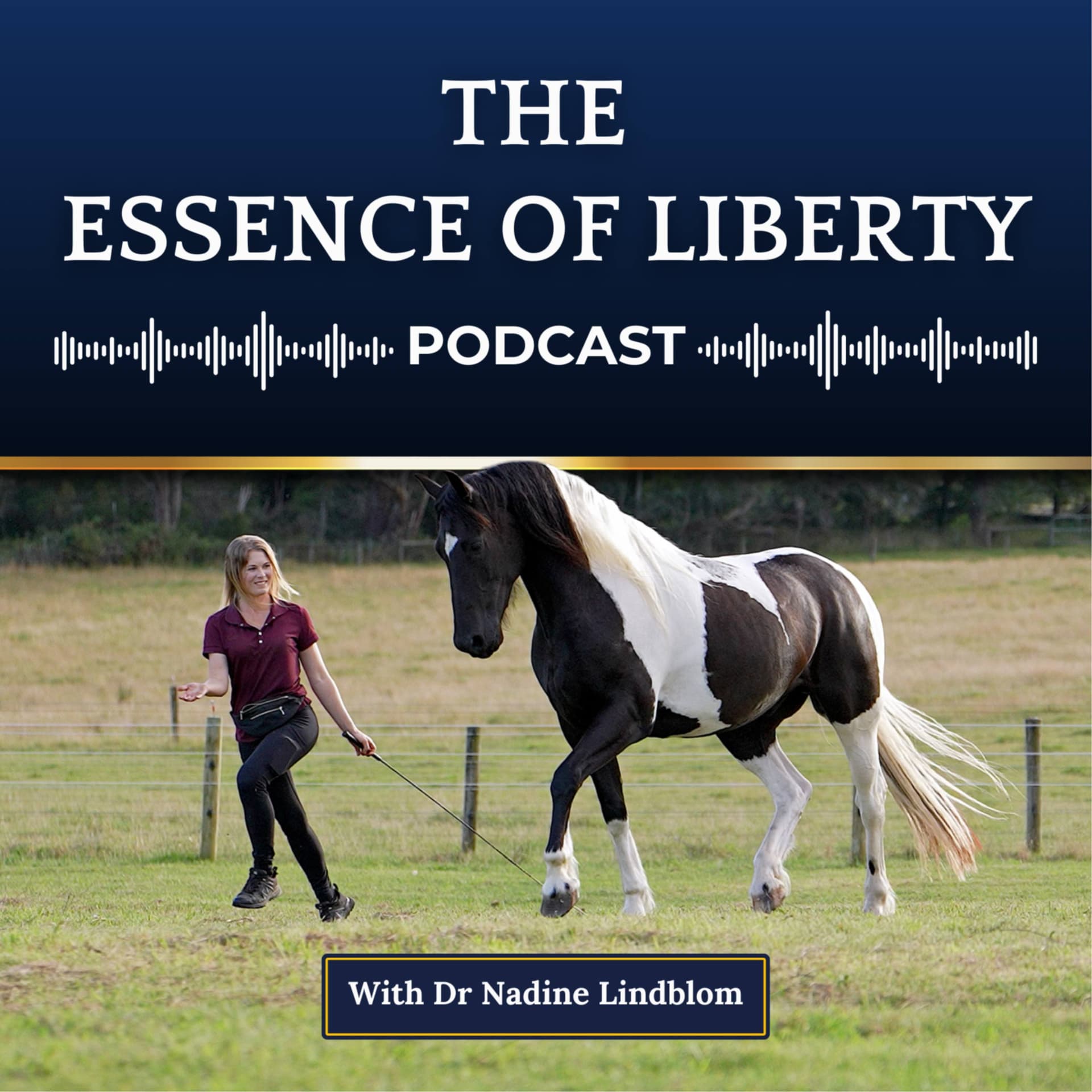 The Essence of Liberty Podcast - Podcasts