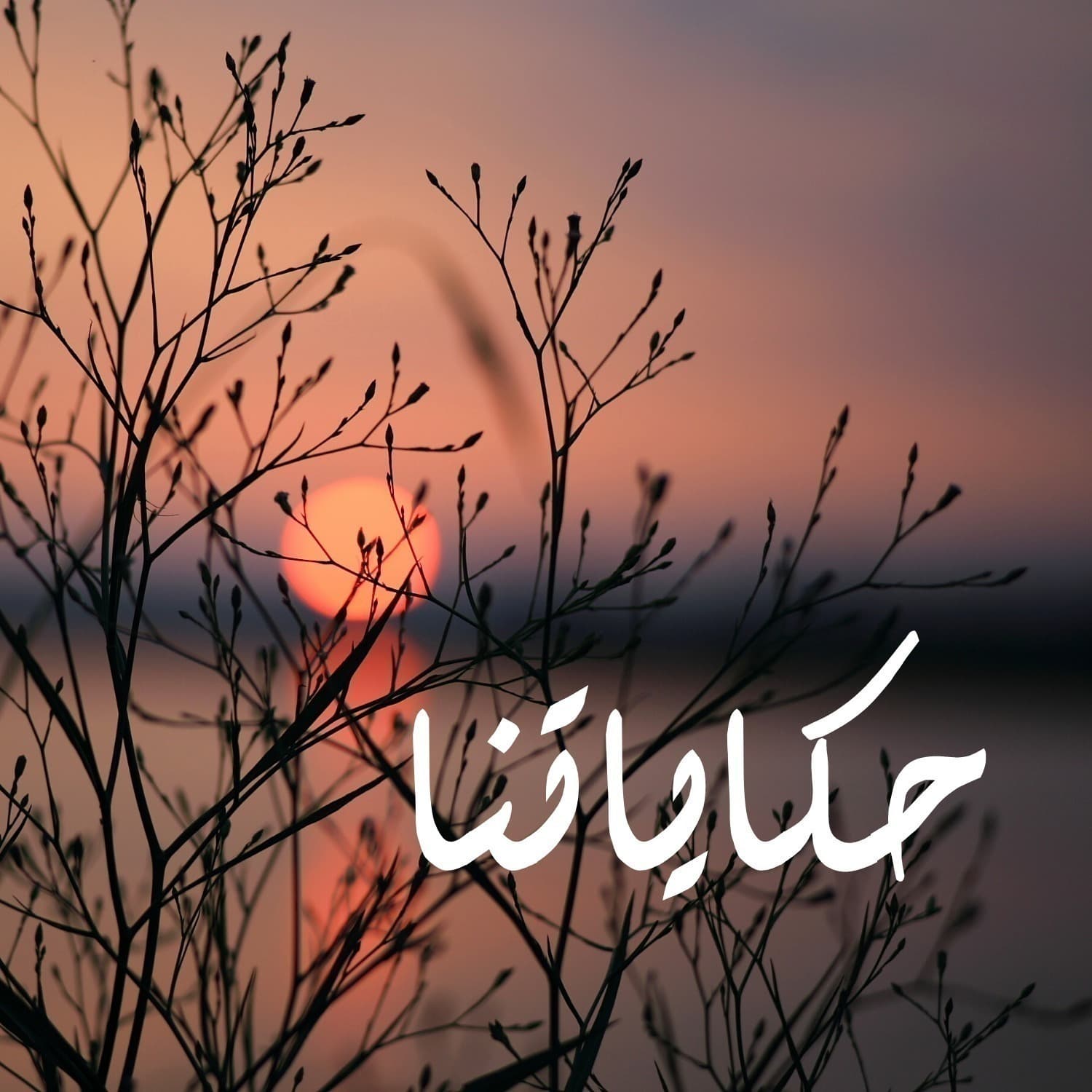 Our Stories - حكاياتنا - Podcasts
