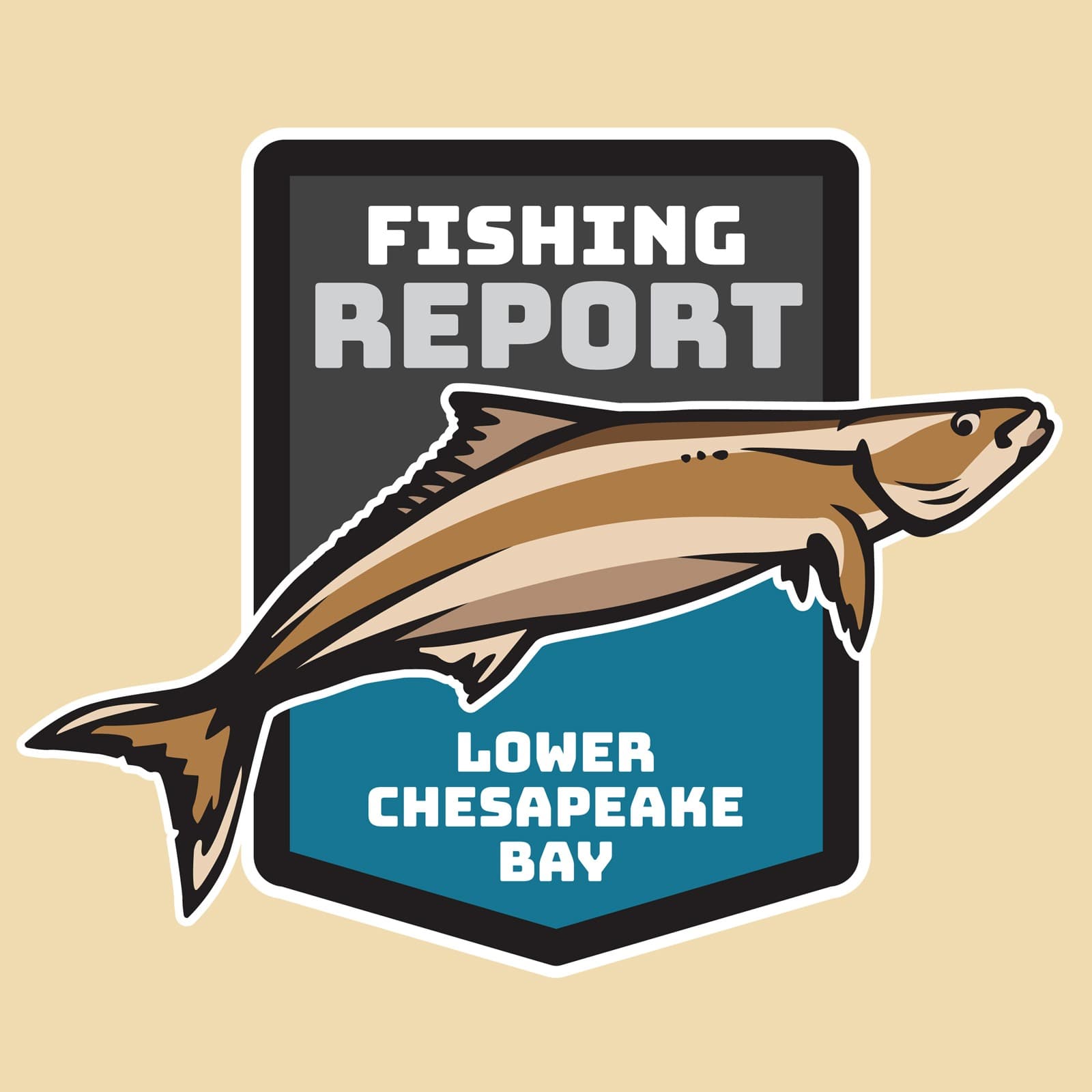 Lower Chesapeake Bay Fishing Report - Podcasts