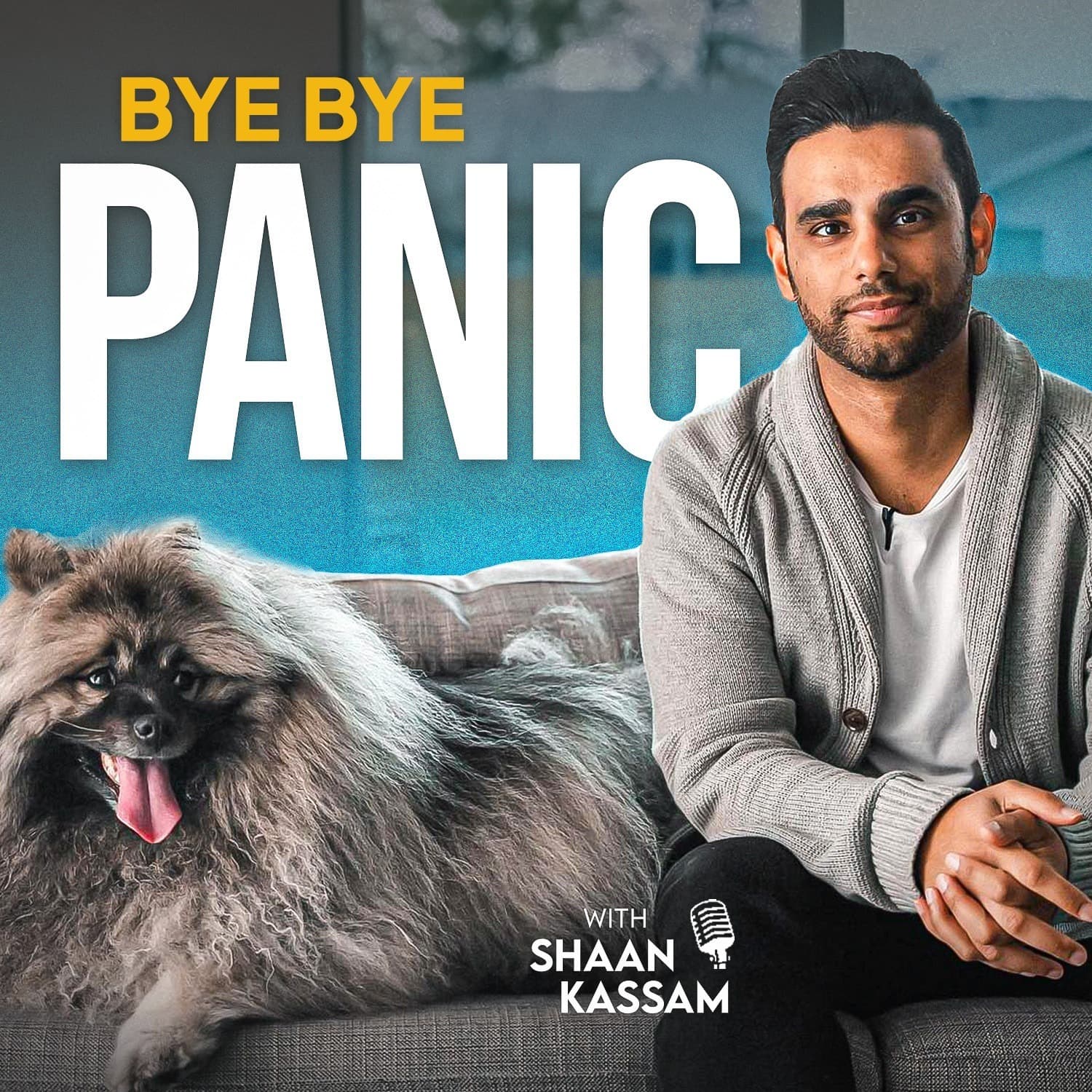 Bye Bye Panic - Podcasts