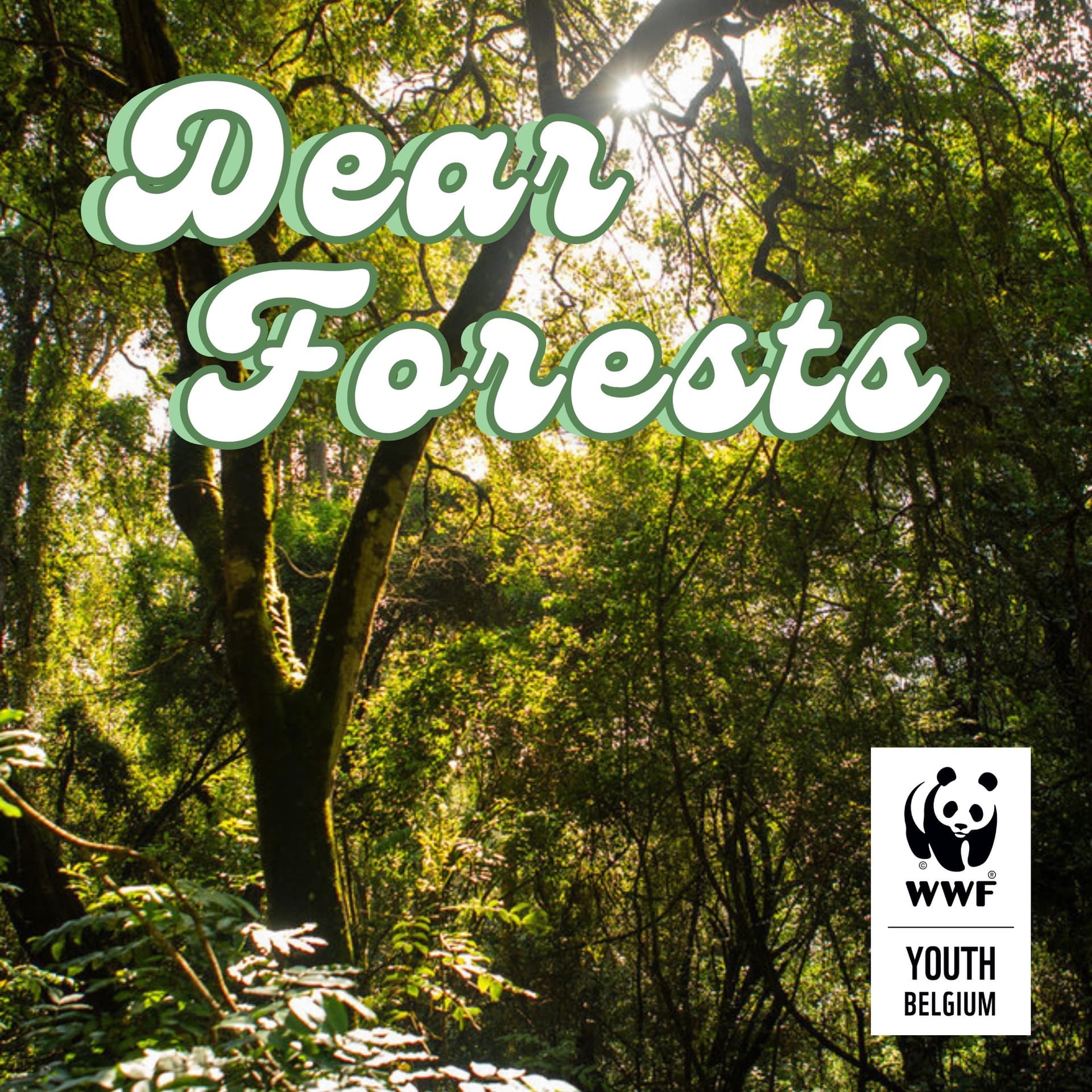 Dear Forests - Podcasts