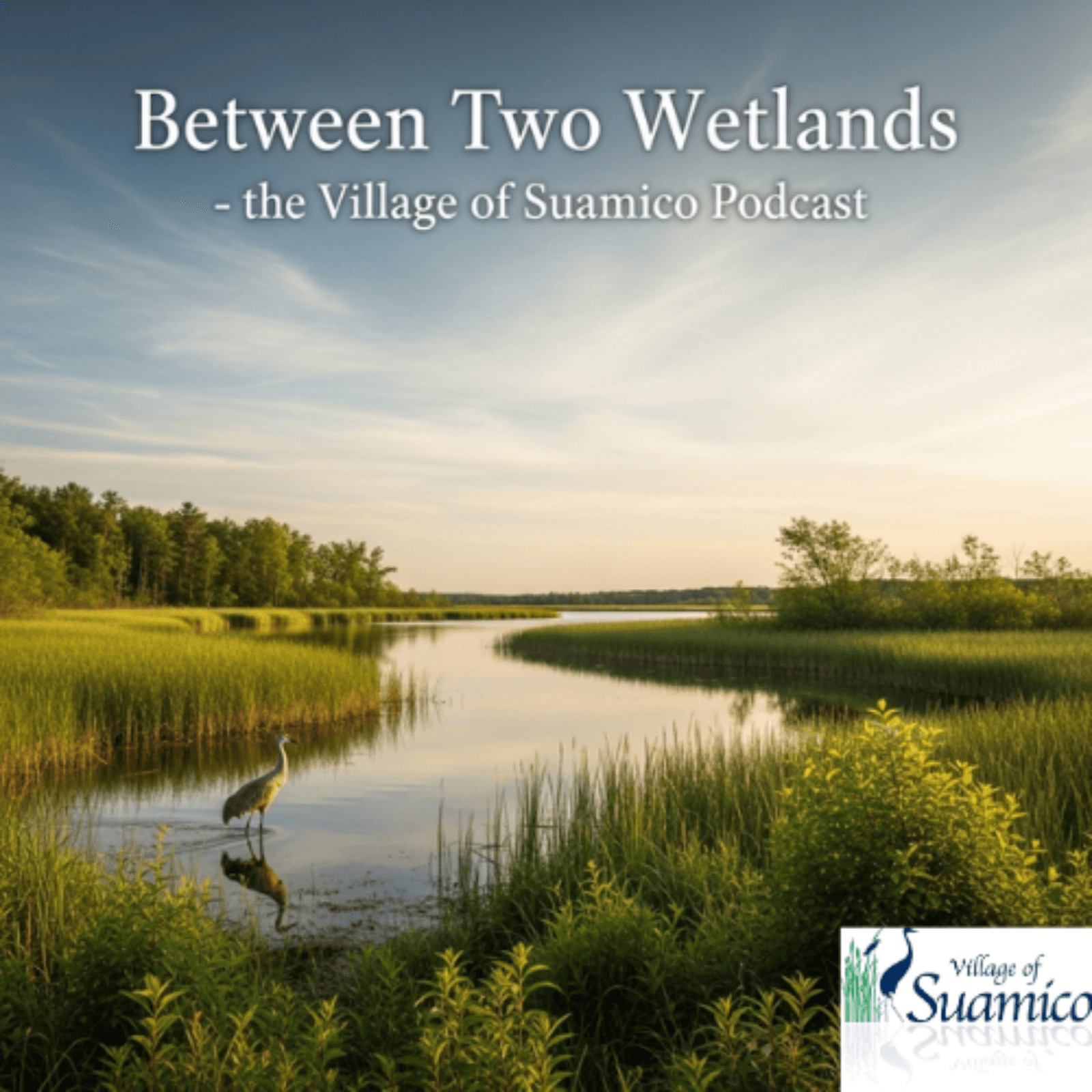 Between Two Wetlands - the Village of Suamico Podcast - Podcasts