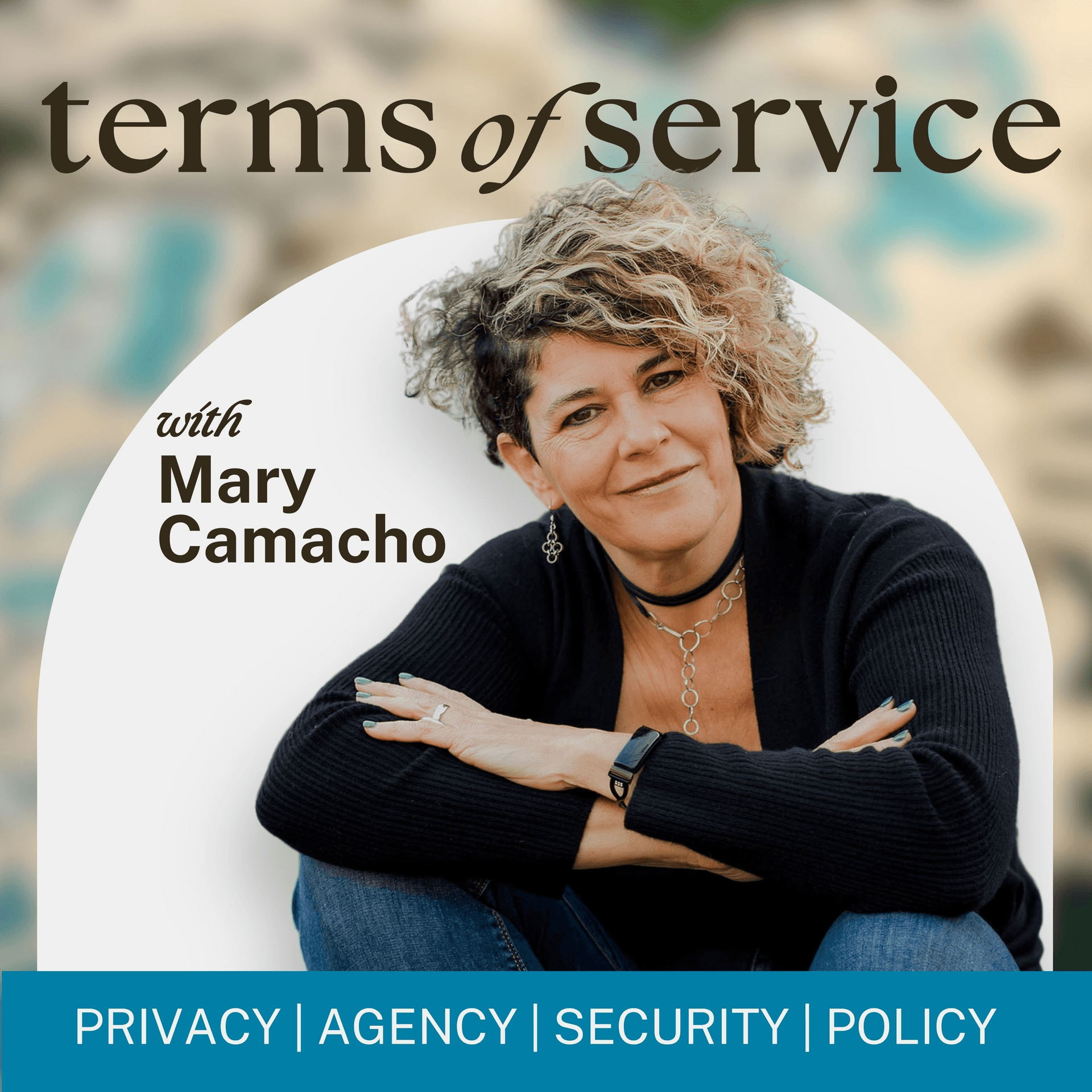 Terms of Service Podcast - Podcasts