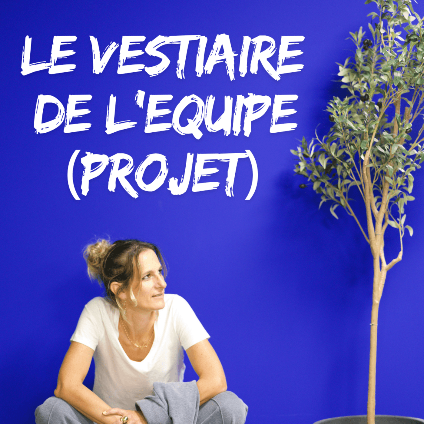 LE VESTIAIRE DE L’EQUIPE PROJET - Podcasts