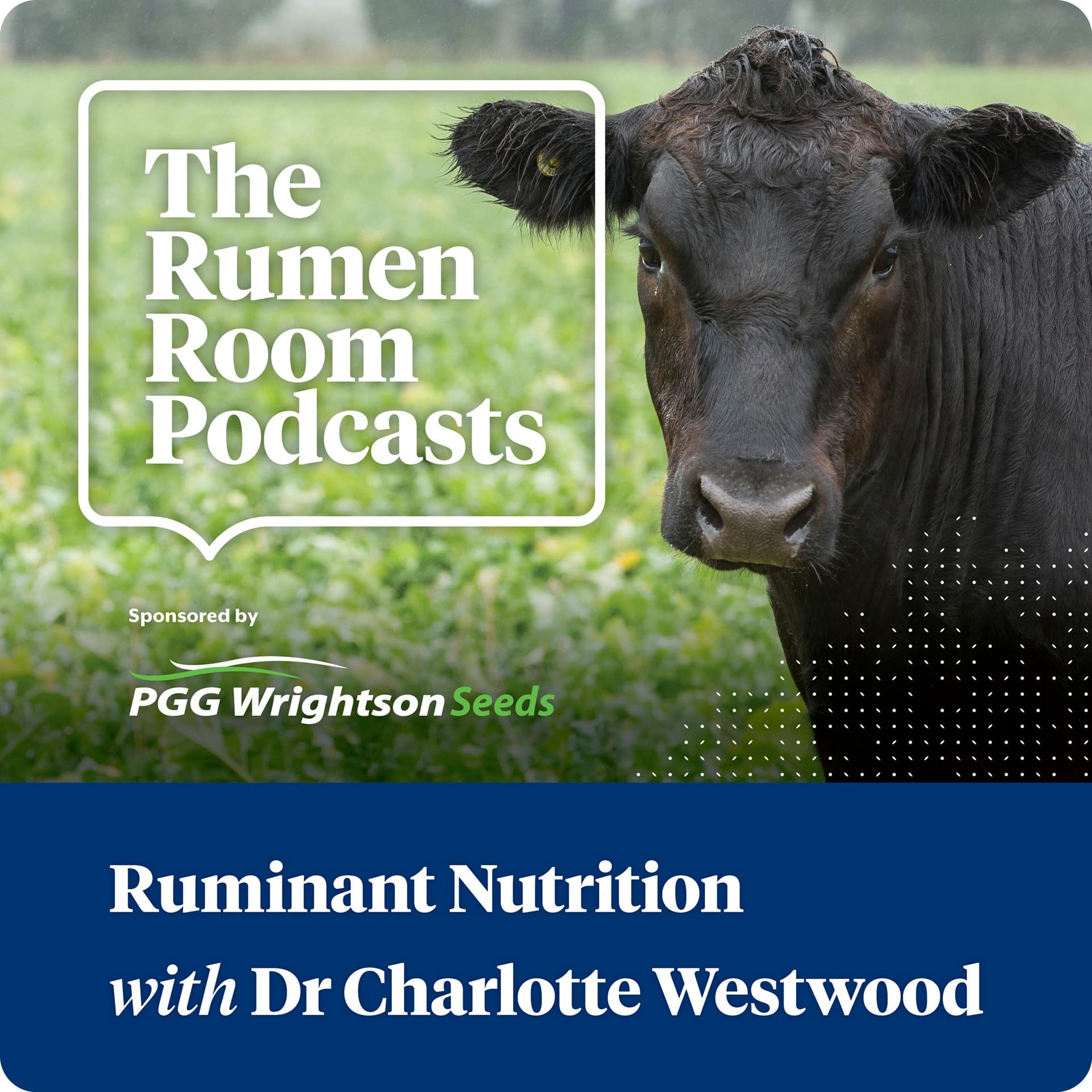 The Rumen Room Podcasts - Podcasts