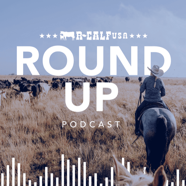 The R-CALF USA Round Up - Podcasts