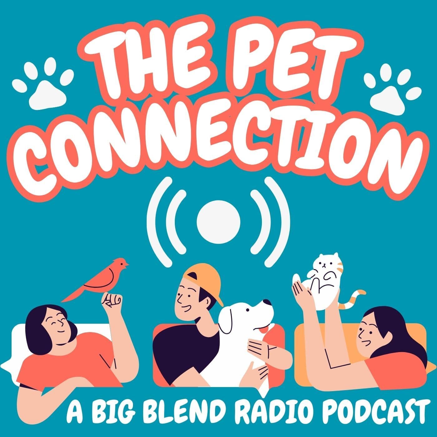 The Pet Connection - Podcasts