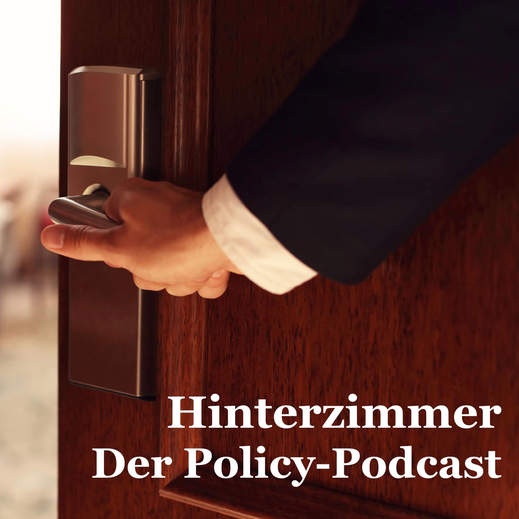 Hinterzimmer - Der Policy Podcast - Podcasts