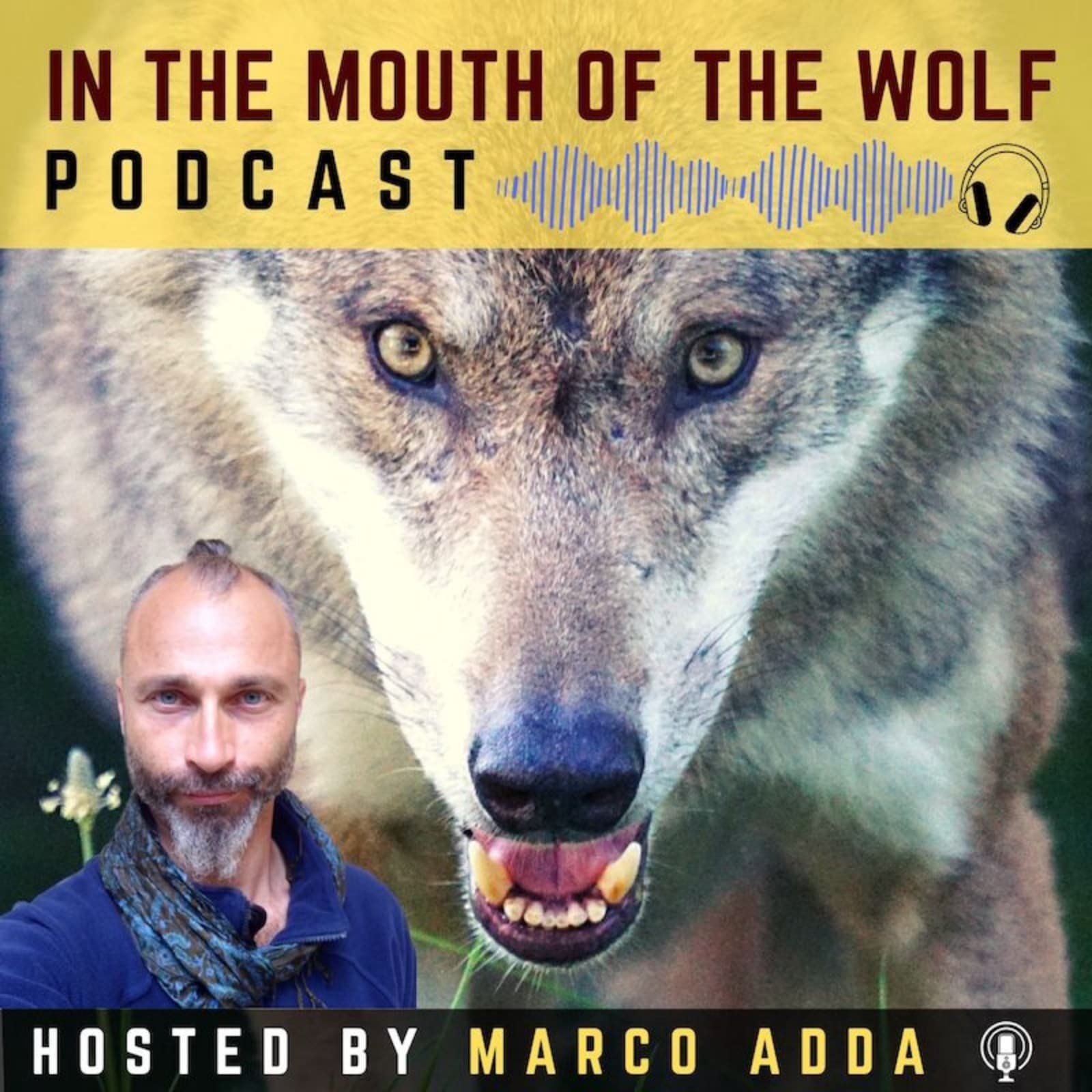 In The Mouth Of The Wolf PODCAST - Podcasts