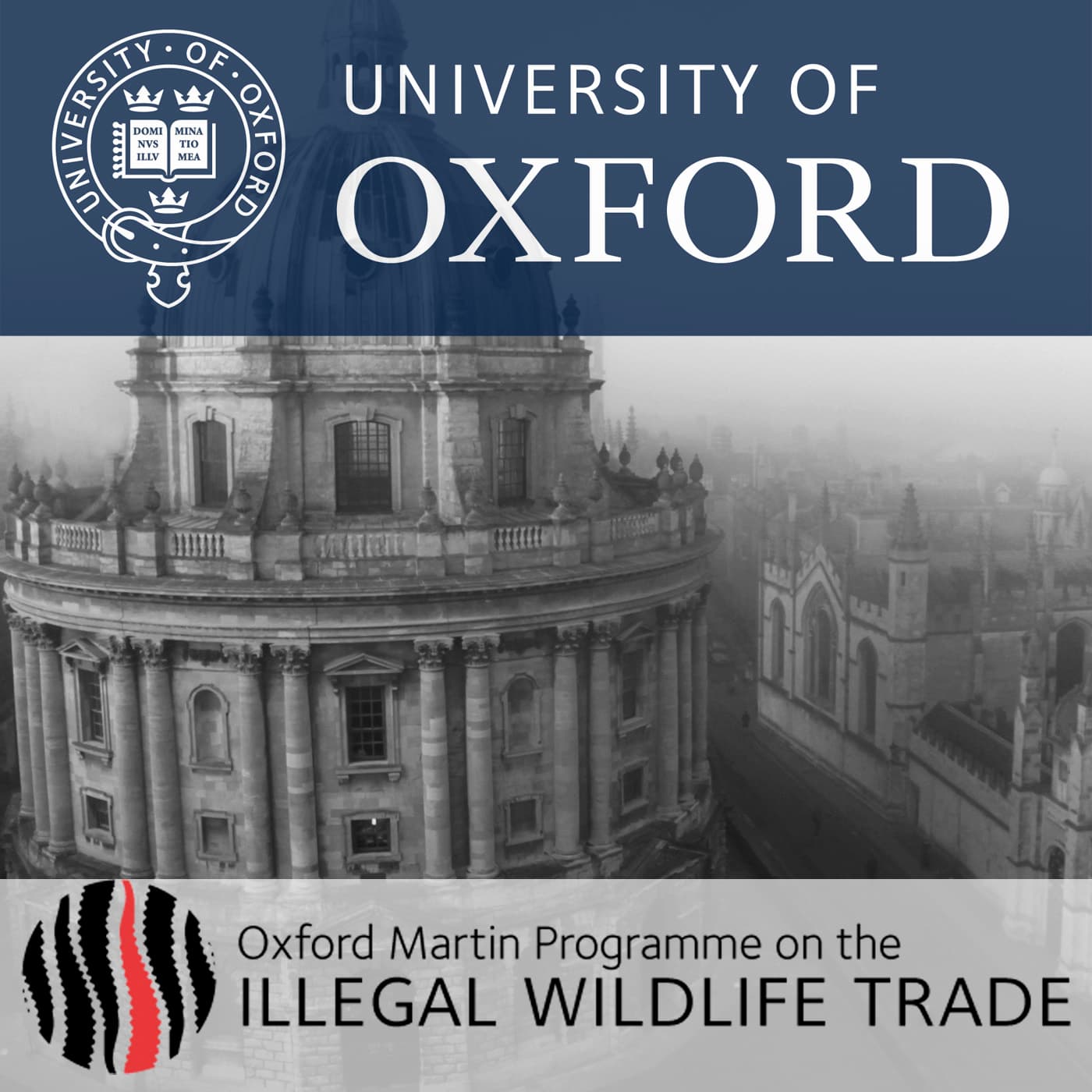 Wildlife Trade Symposium: Evolving Perspectives on the demand for illegal wildlife products - Podcasts
