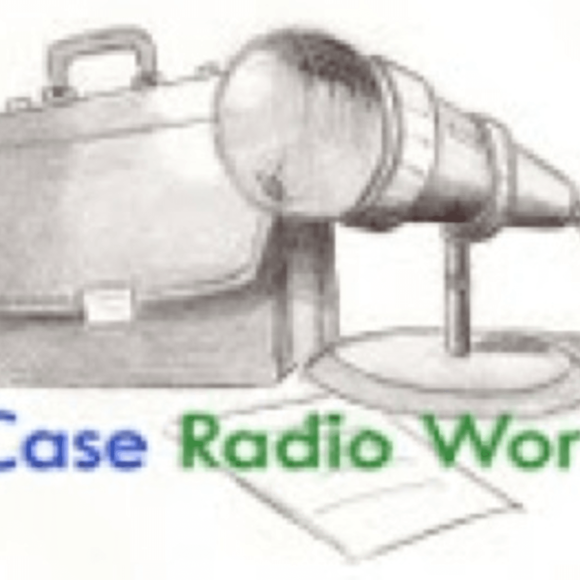 BriefCase Radio Workshop|Business Coach - Podcasts