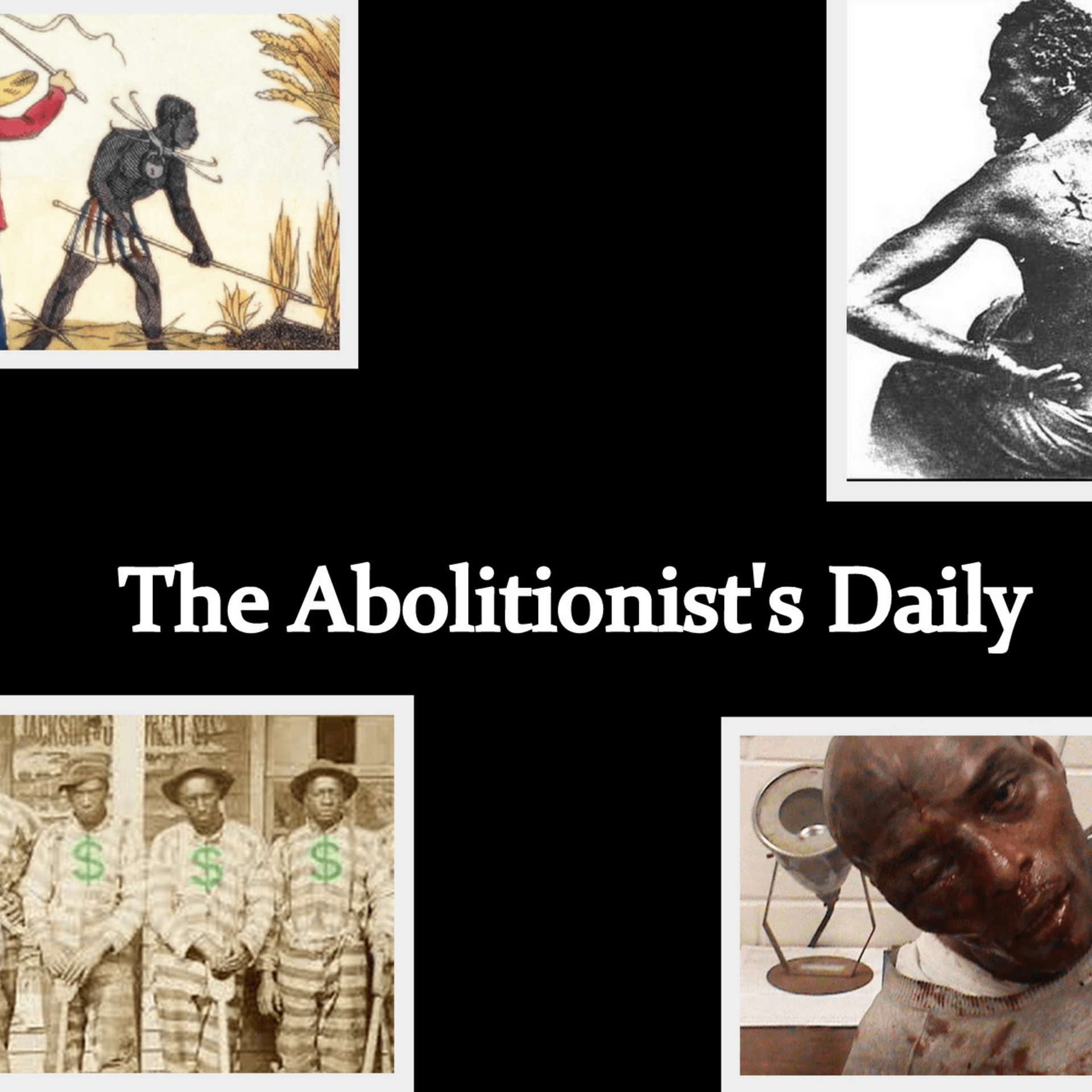 The Abolitionist's Daliy