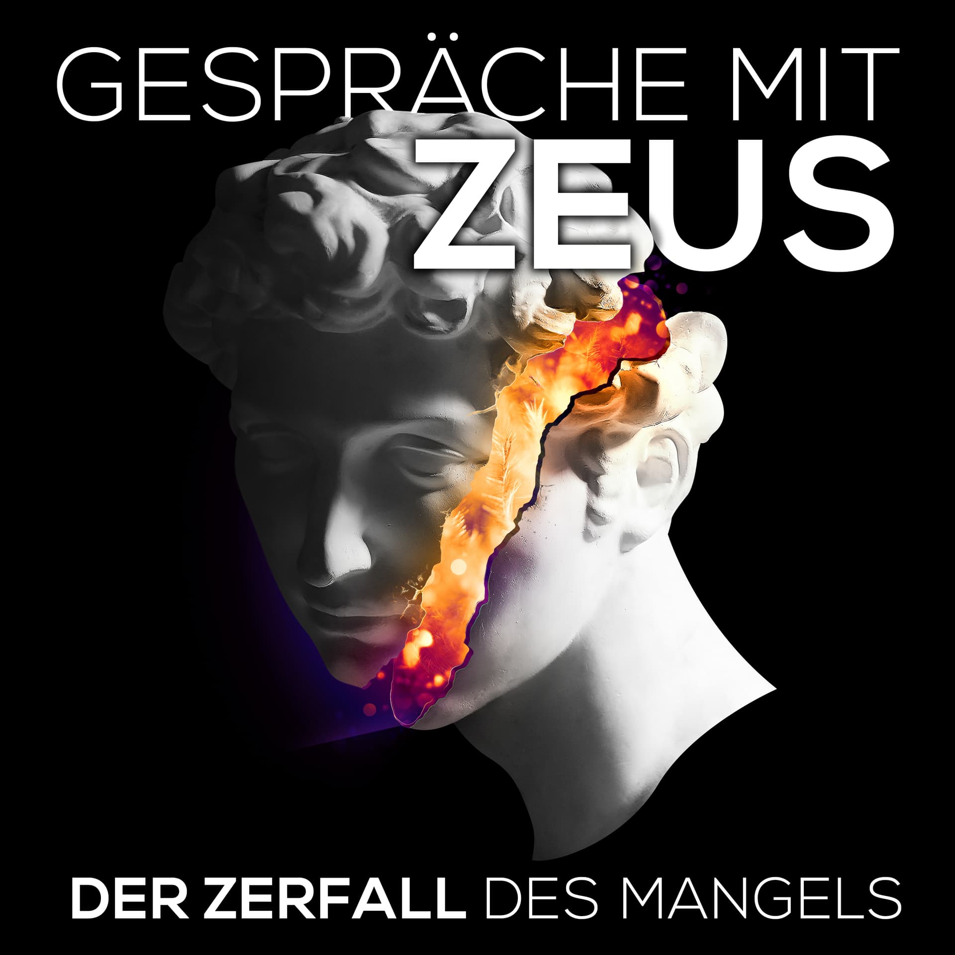 Gespräche mit Zeus - Der Zerfall des Mangels - Podcasts
