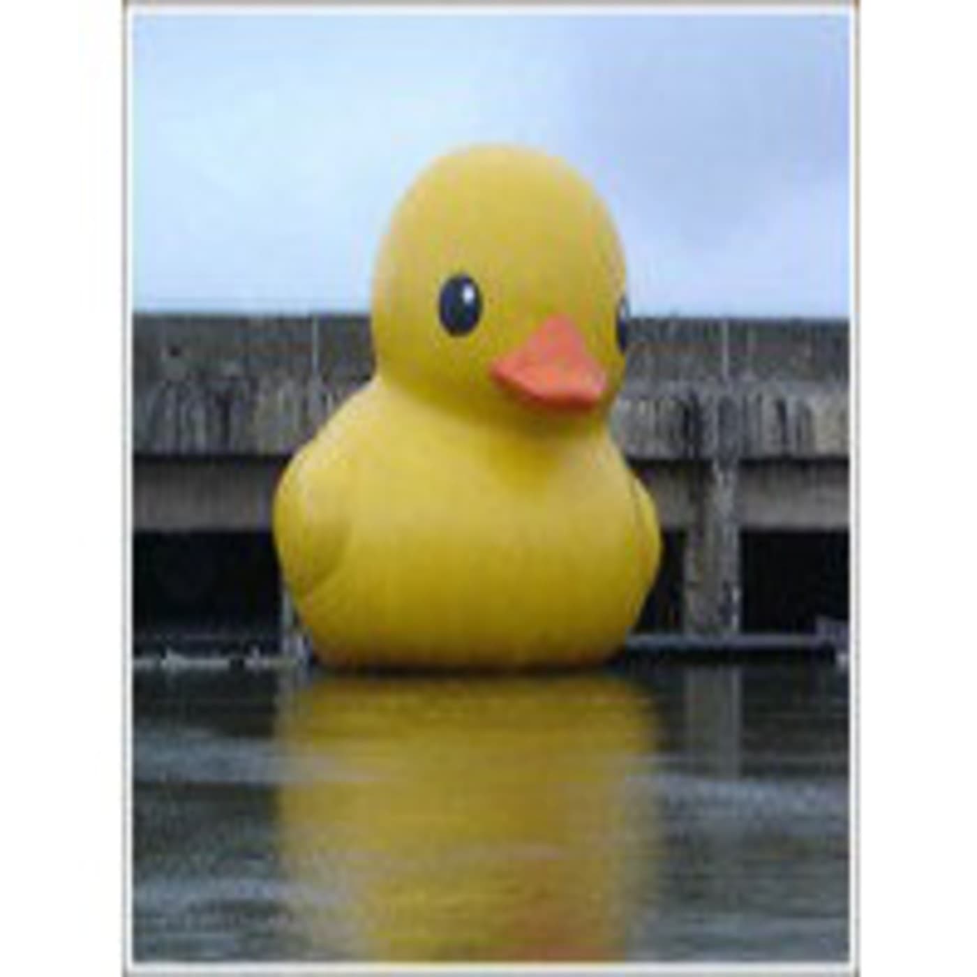 Podcast TEMPORADA DE PATOS