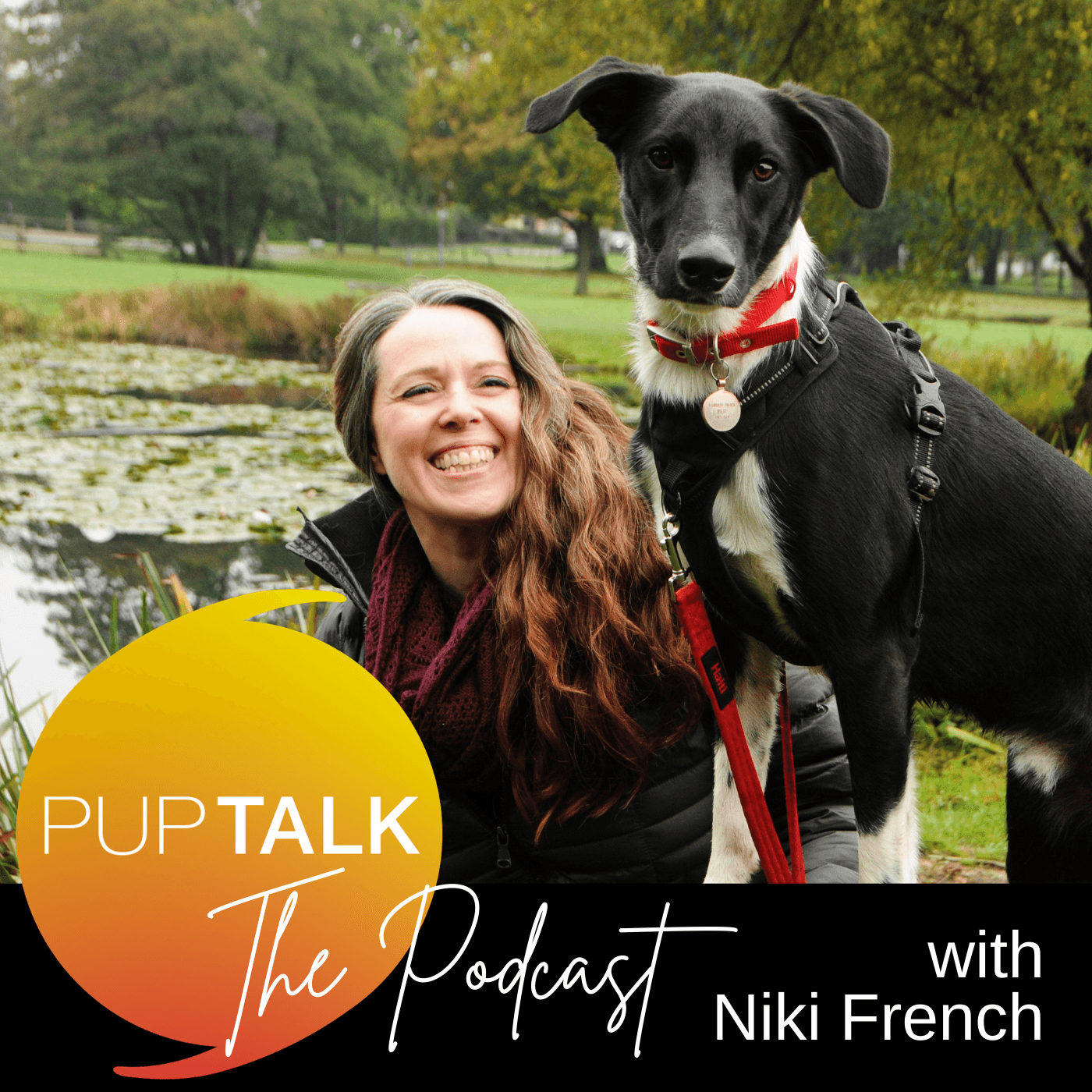 Pup Talk The Podcast - Podcasts