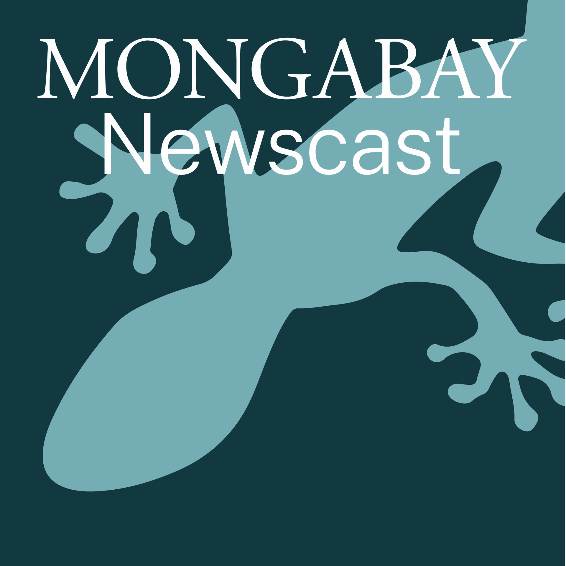 Mongabay Newscast - Podcasts