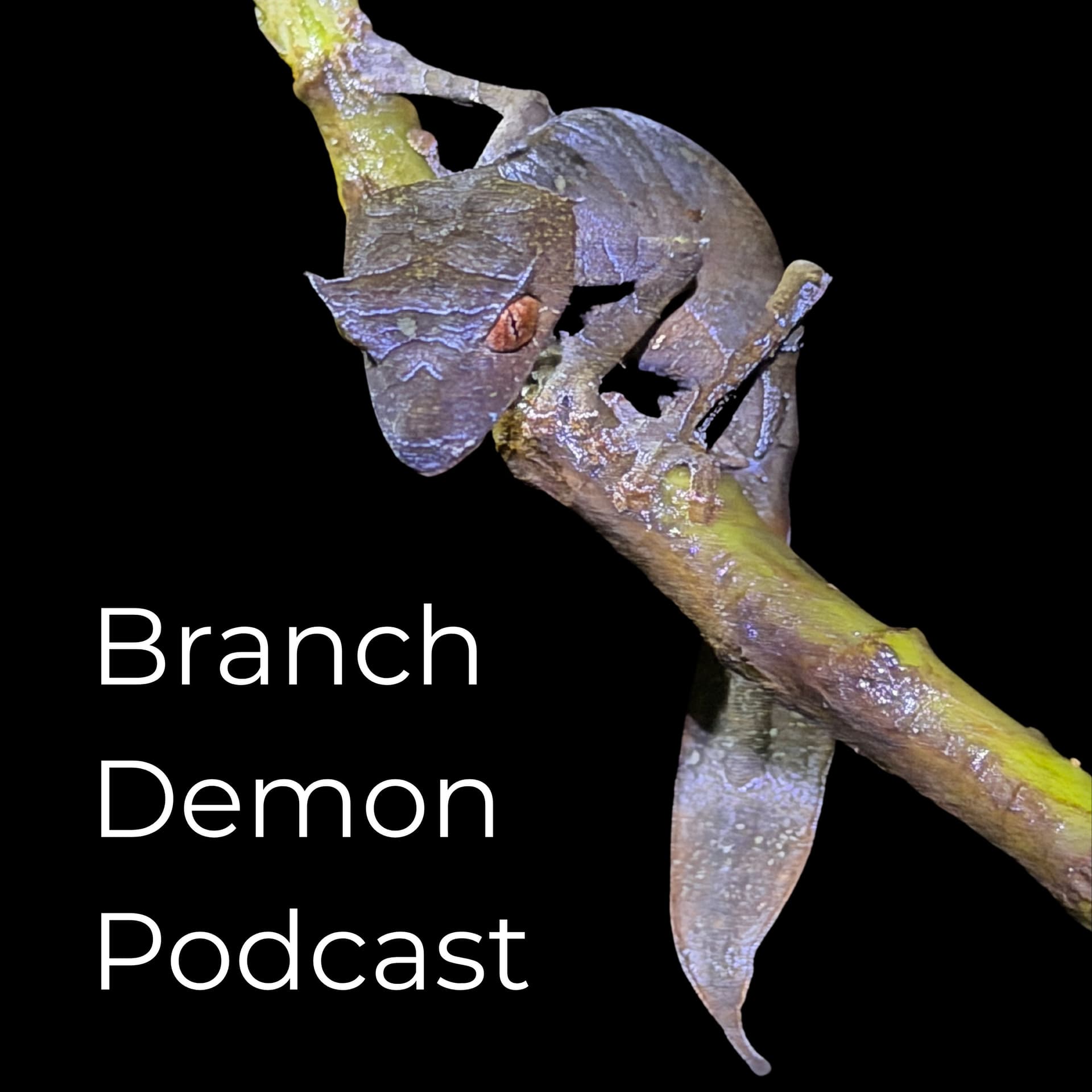 Branch Demon Podcast - Podcasts