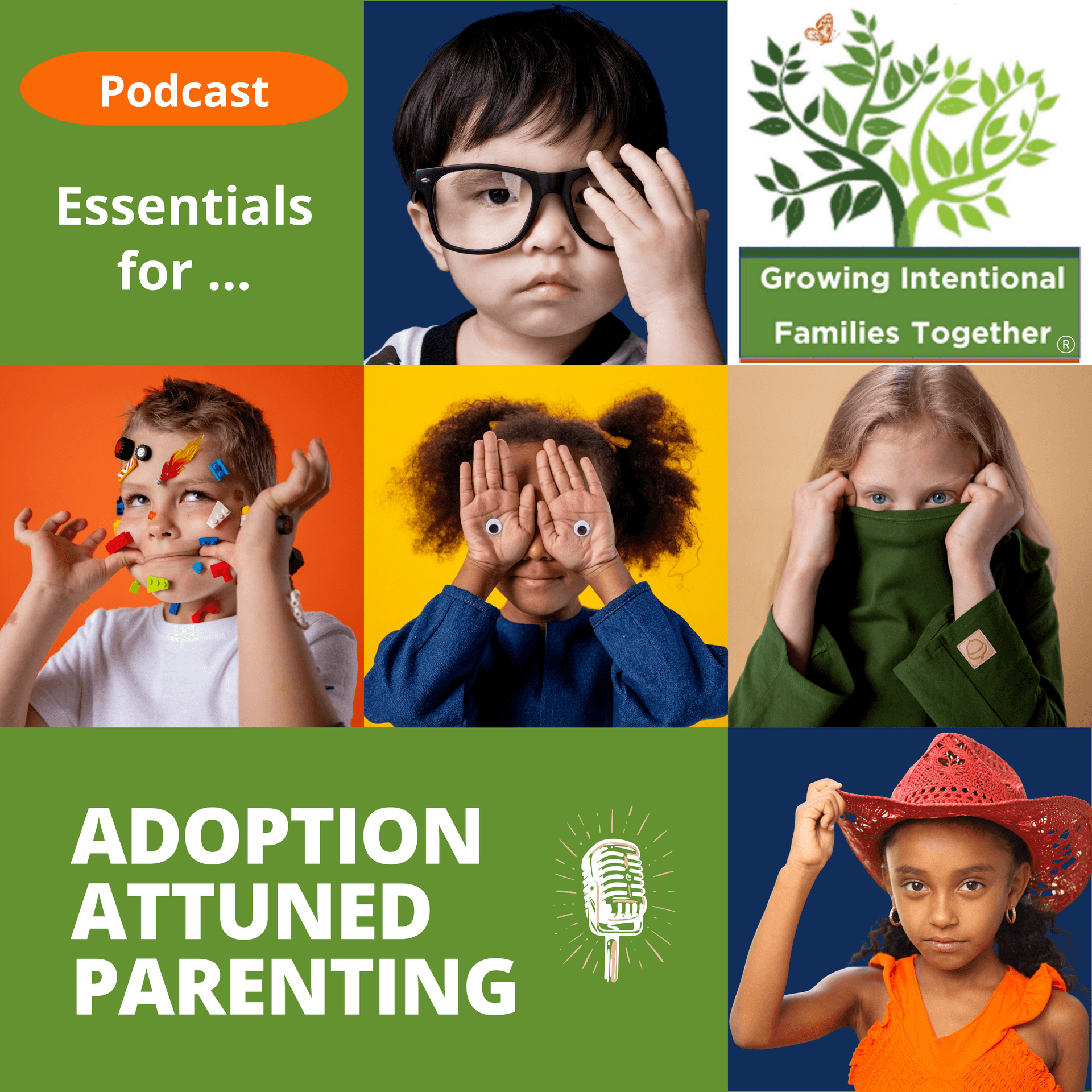 The Essentials for Adoption Attuned Parenting - Podcasts