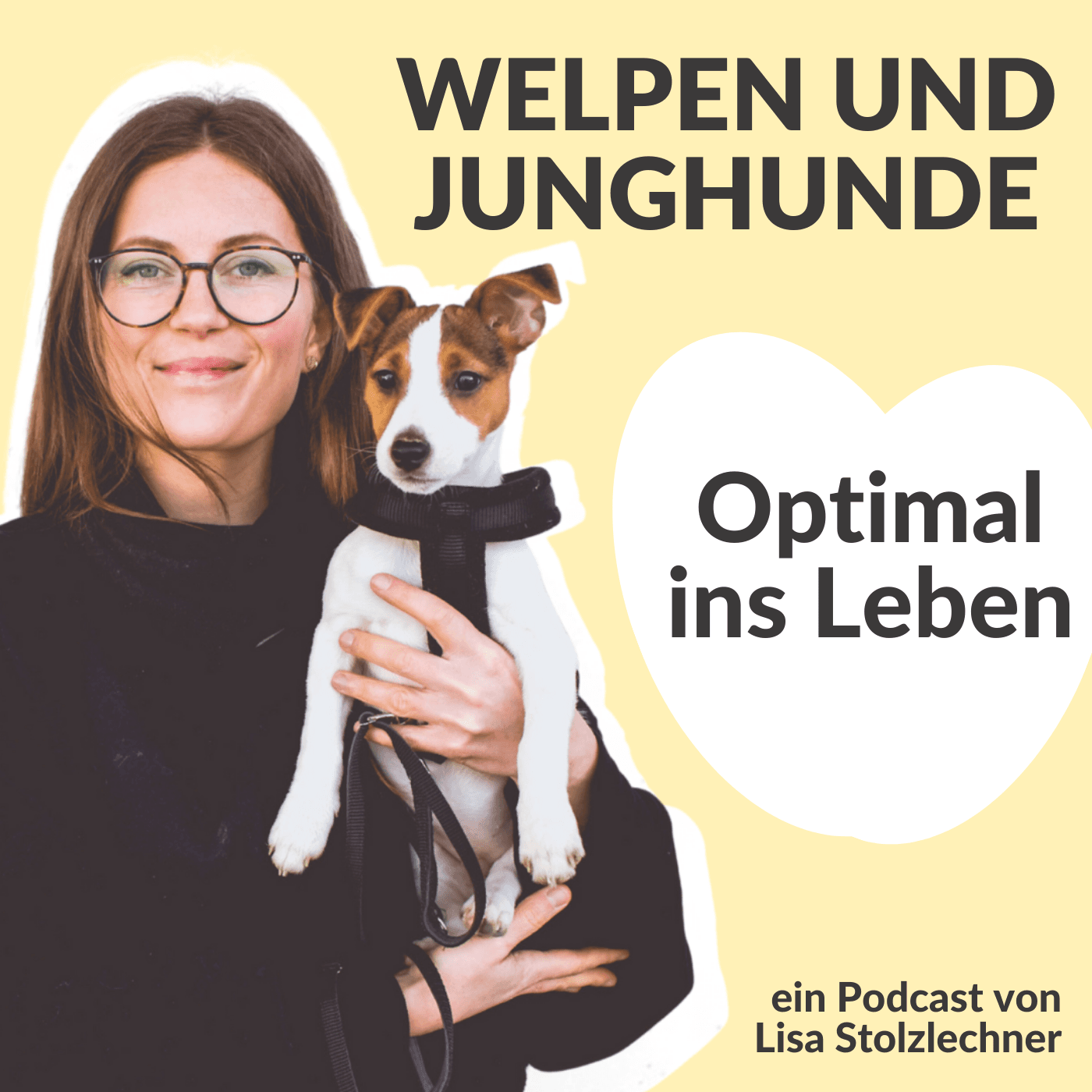 Optimal ins Leben! Welpen und Junghunde - Podcasts