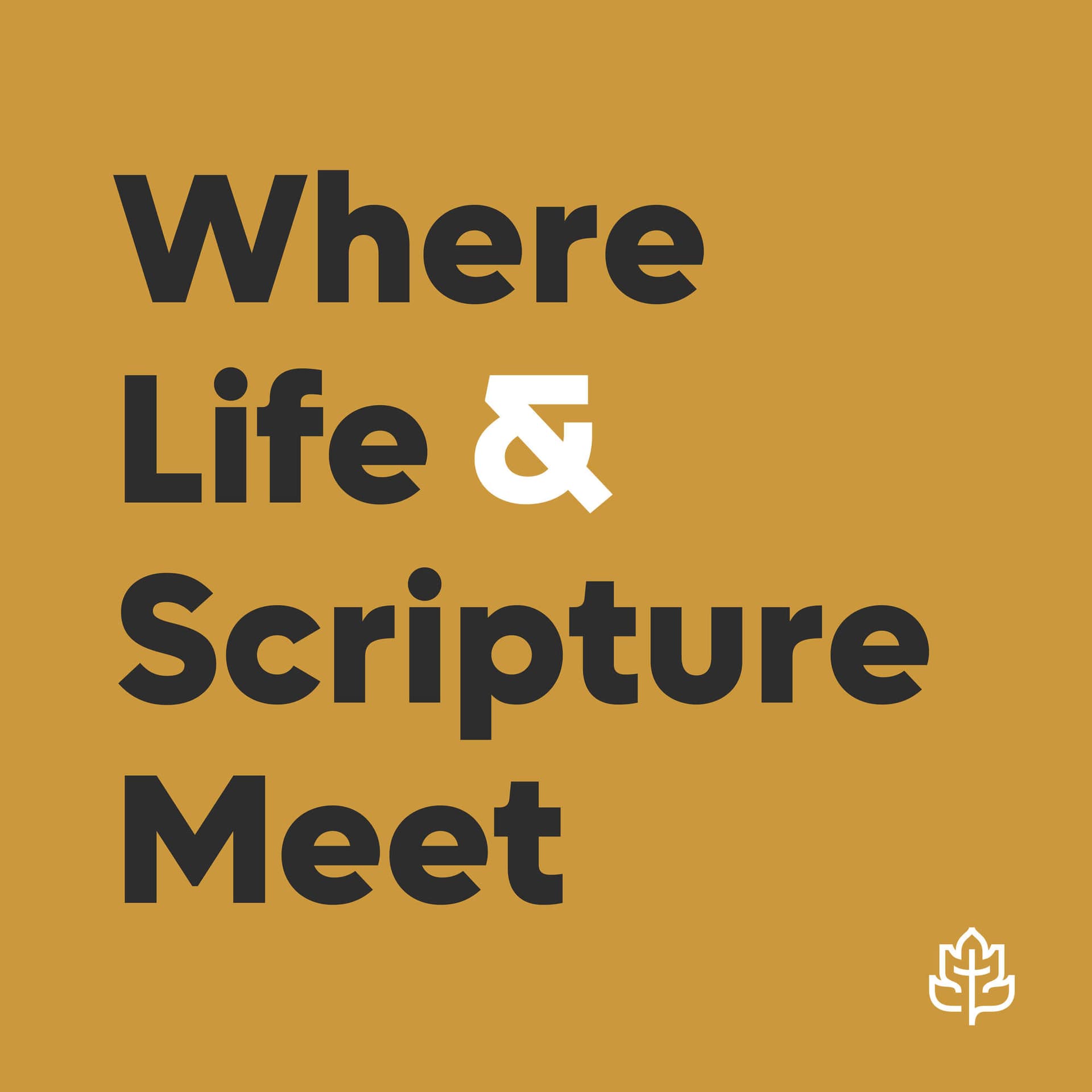 CCEF Podcast: Where Life & Scripture Meet - Podcasts