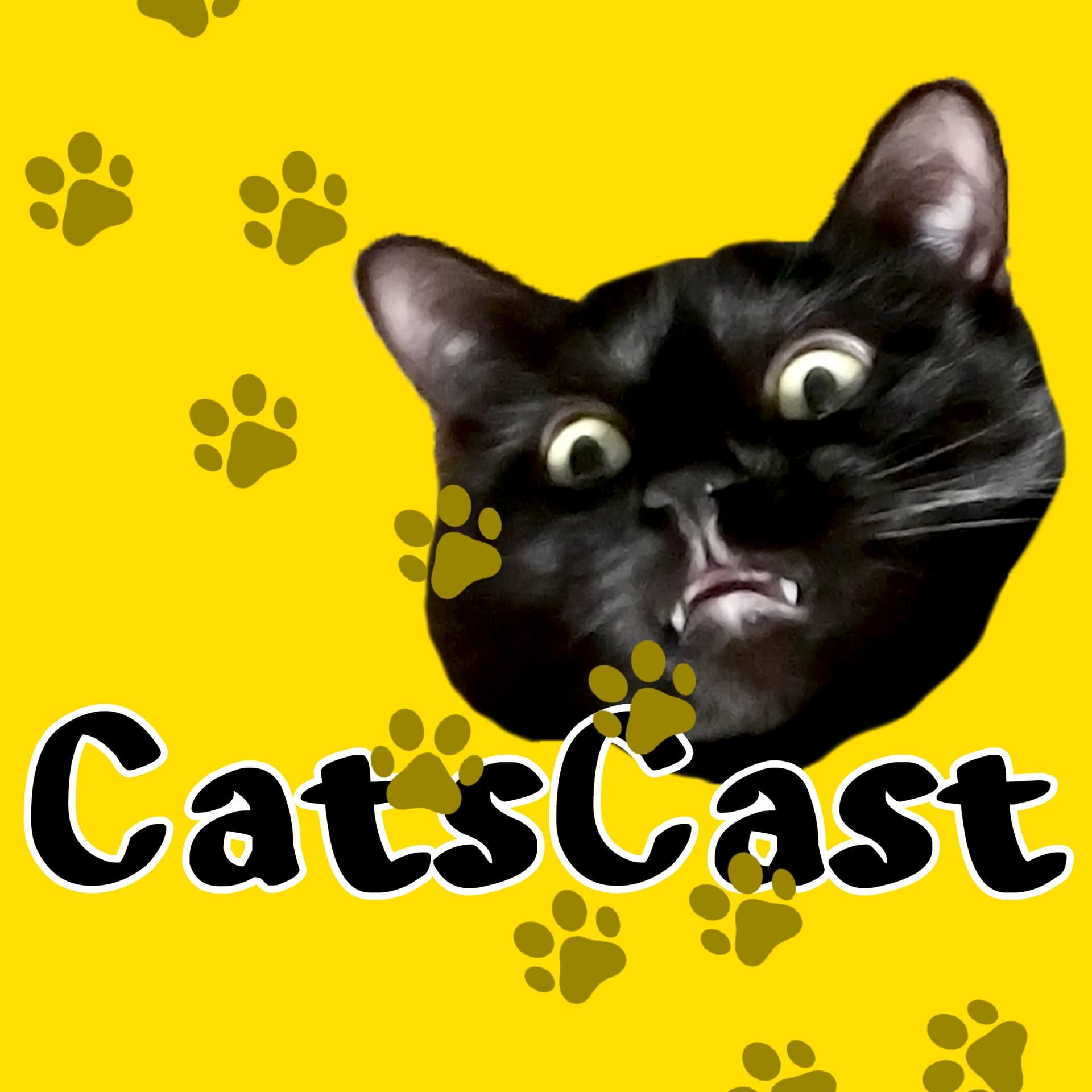 CatsCast - Podcasts