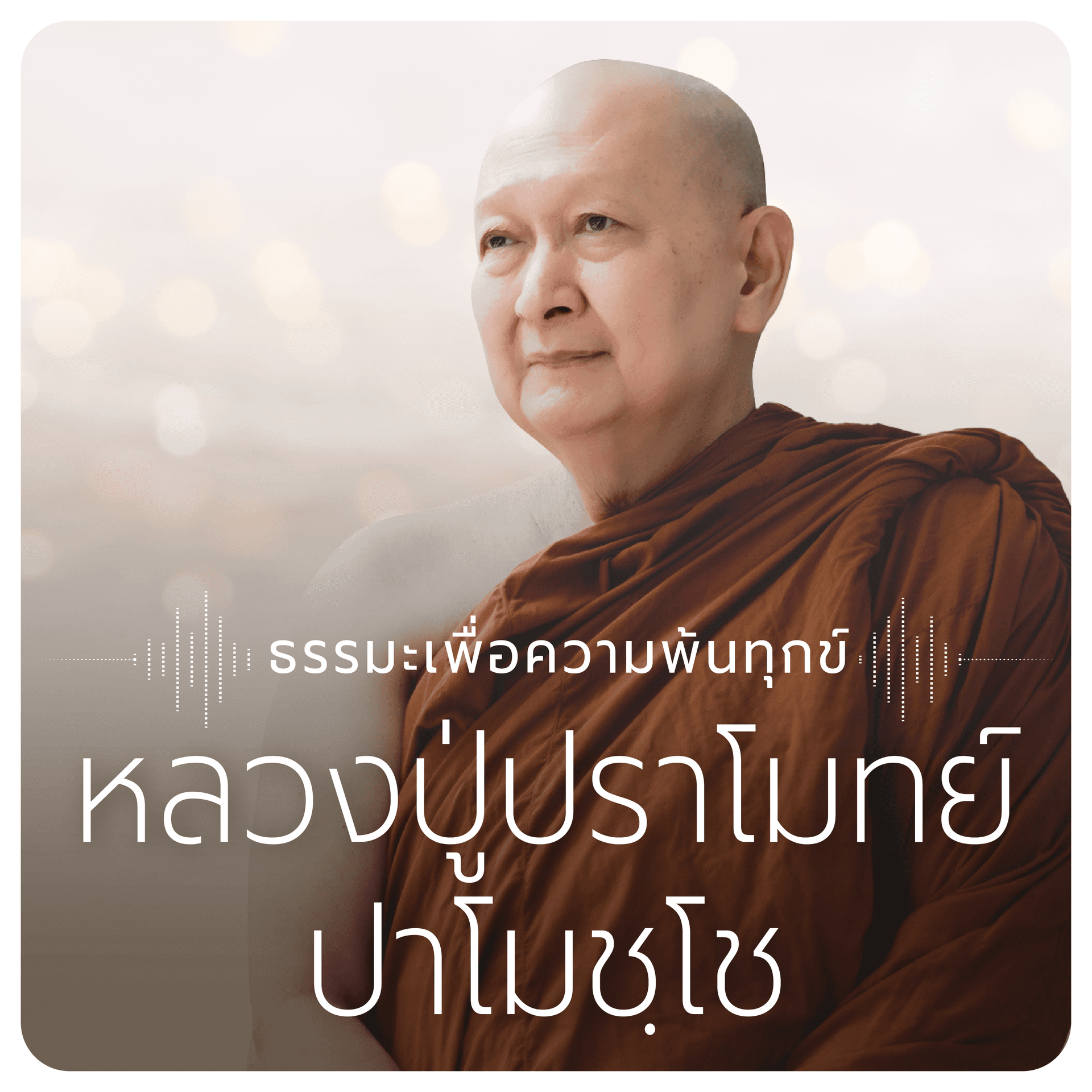 หลวงปู่ปราโมทย์ ปาโมชฺโช วัดสวนสันติธรรม - Podcasts