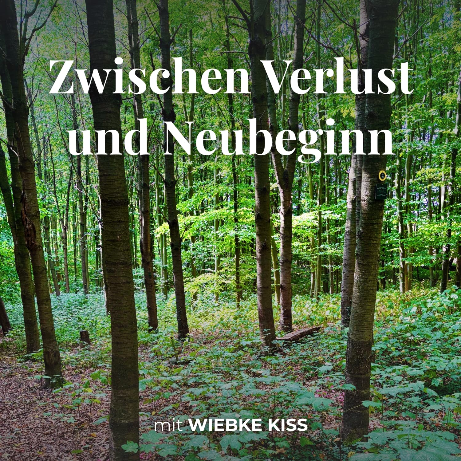 Zwischen Verlust und Neubeginn - Podcasts