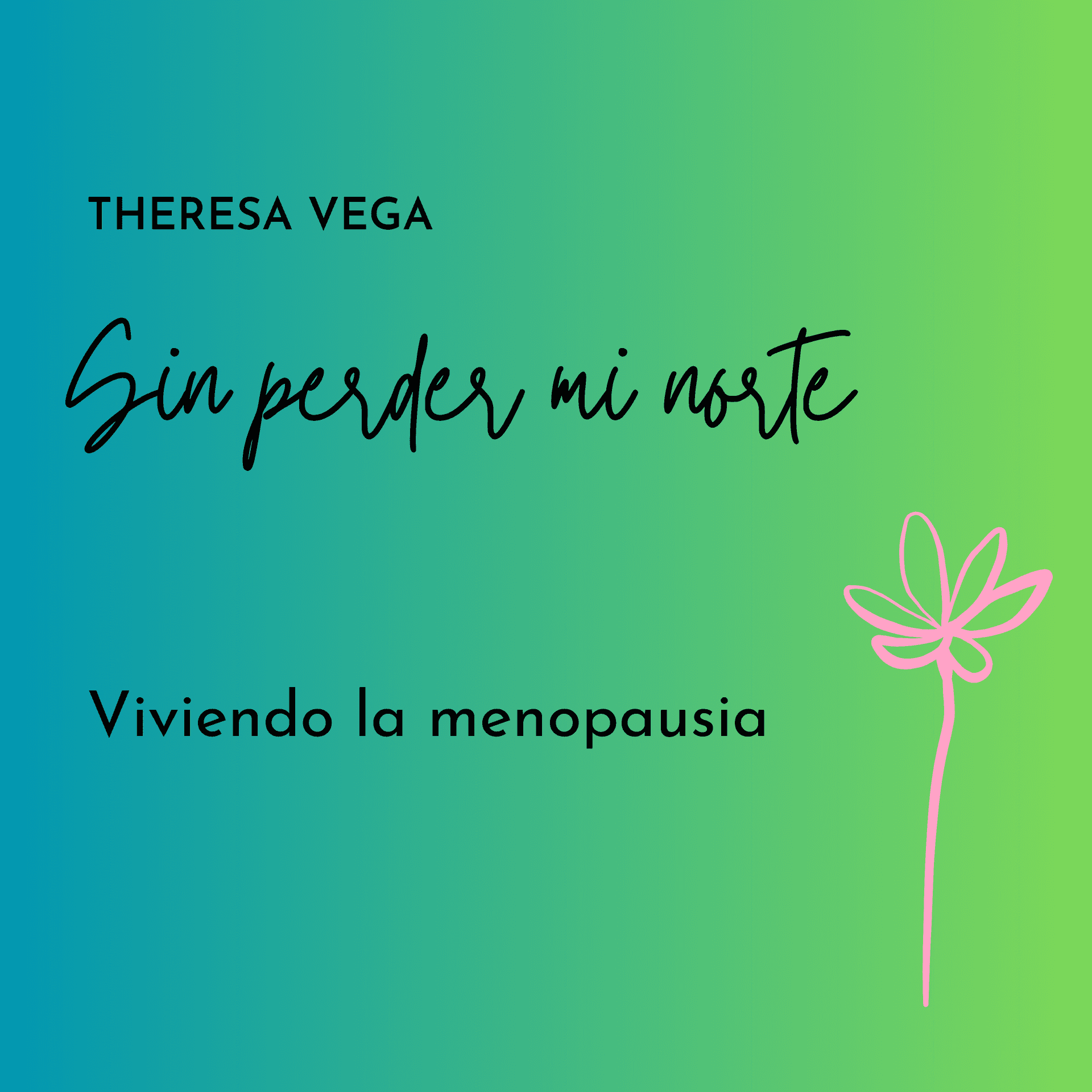 Sin perder mi norte - Podcasts