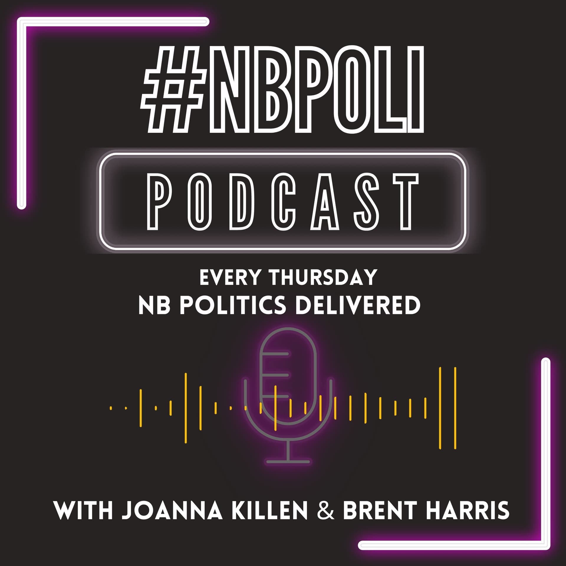 NB Poli Podcast - Podcasts