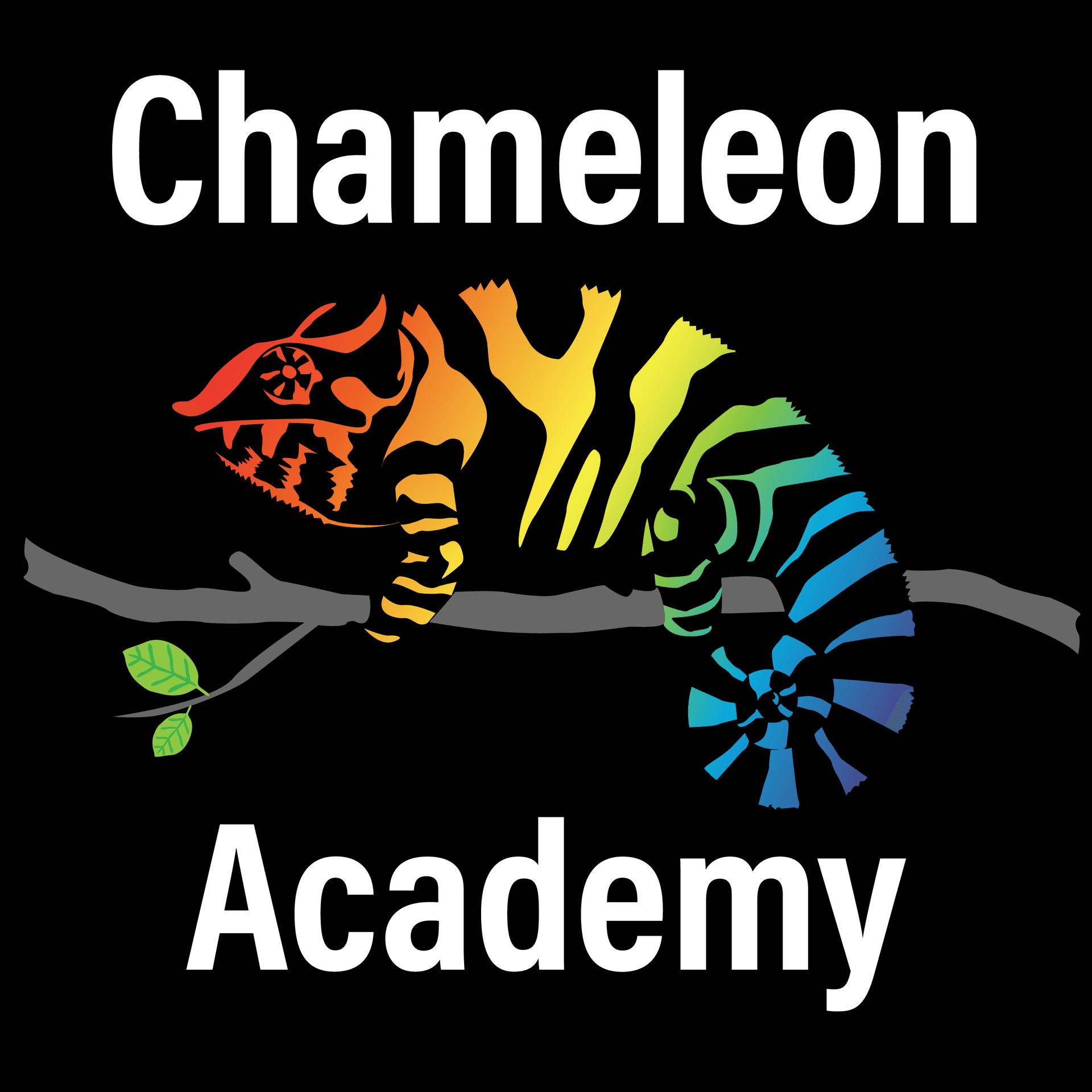 Chameleon Academy Podcast - Podcasts
