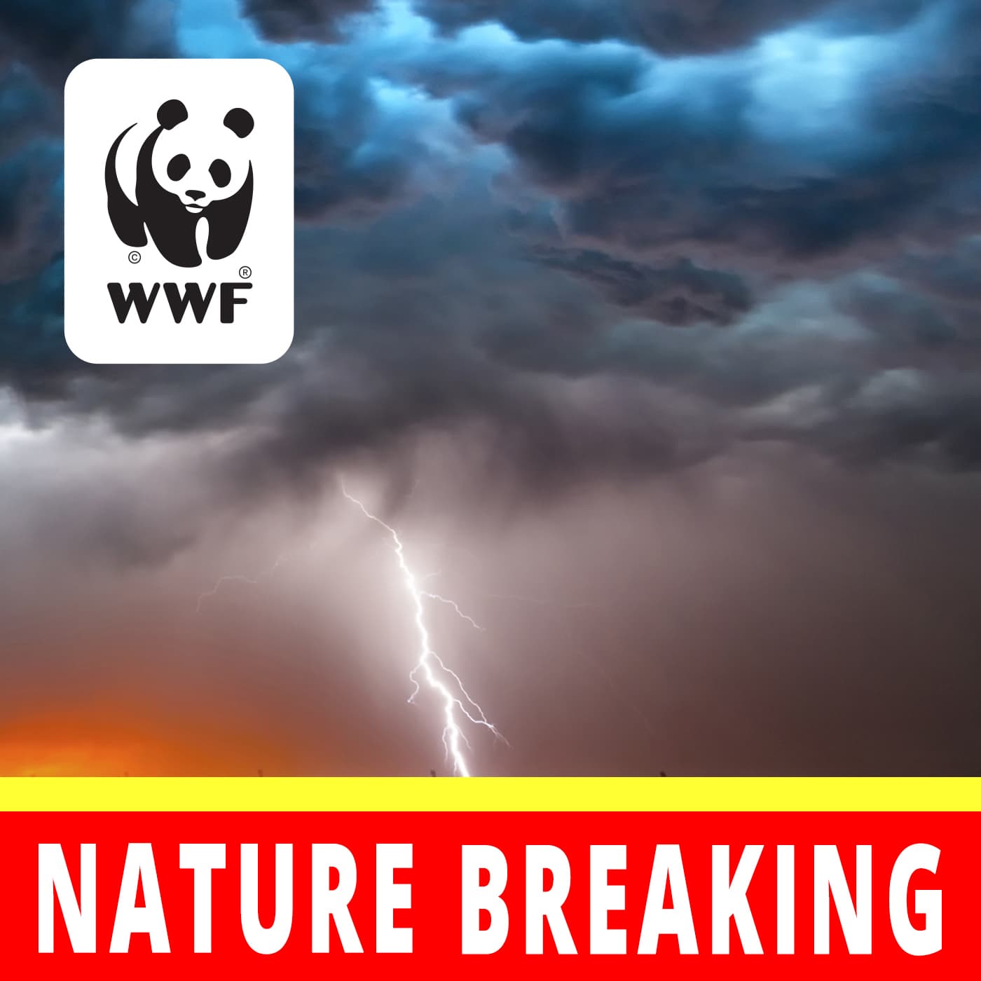 Nature Breaking - Podcasts