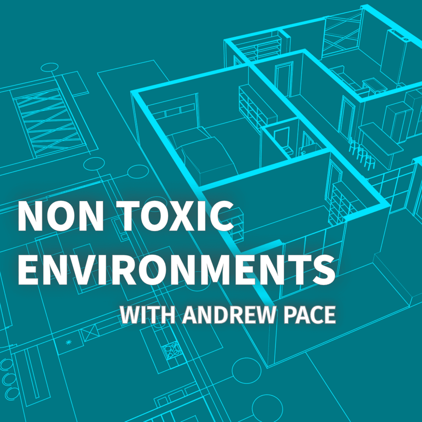 Non Toxic Environments Home Health & Wellness - Podcasts