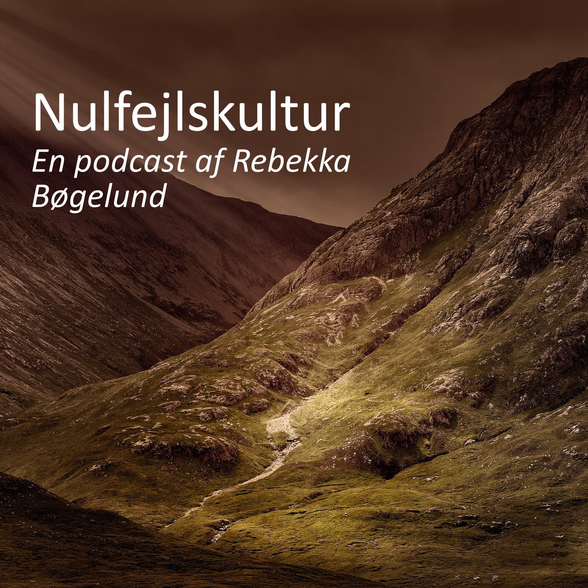 Nulfejlskultur - Podcasts