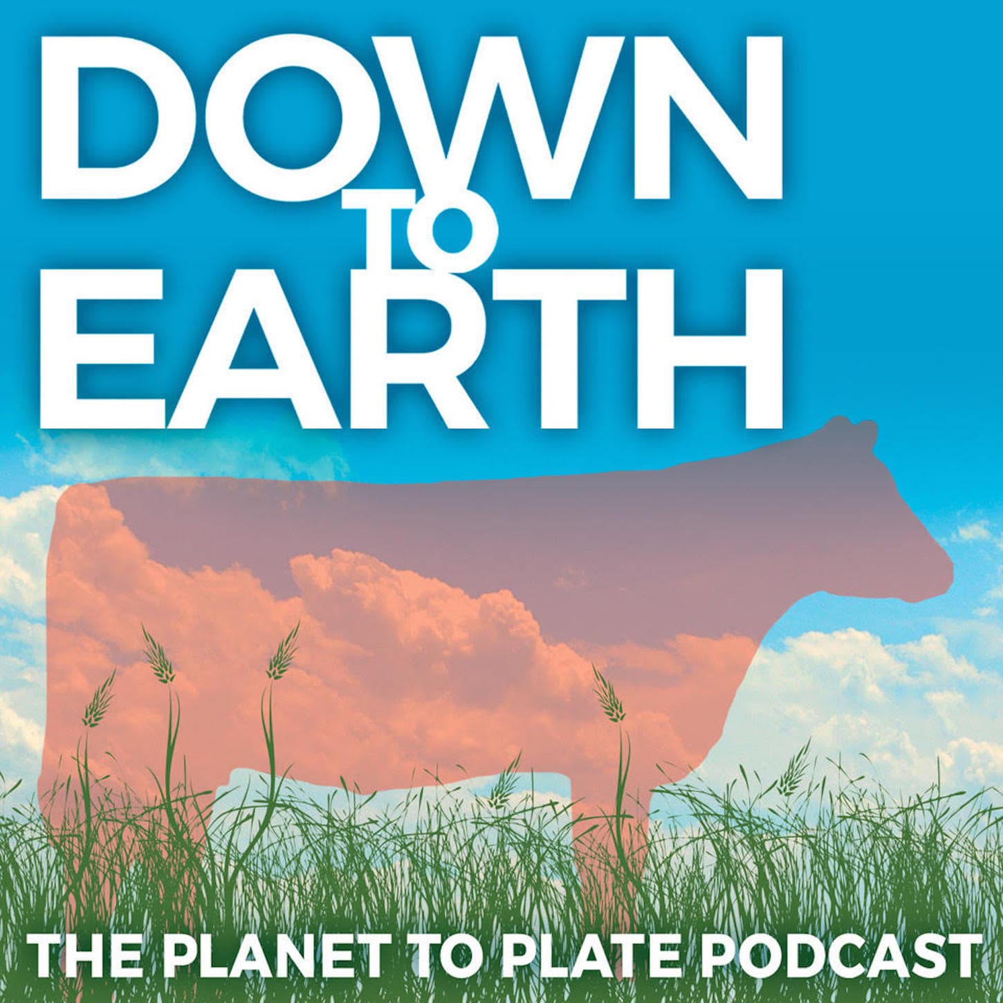 Down to Earth: The Planet to Plate Podcast - Podcasts