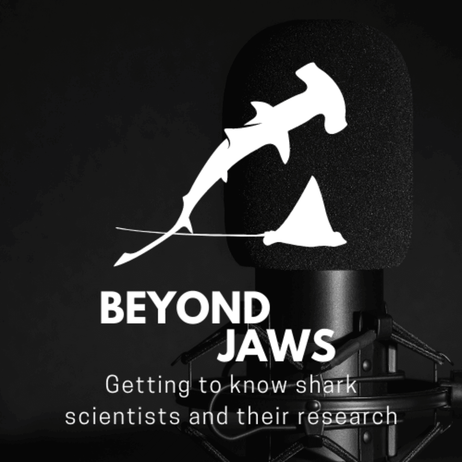 Beyond Jaws: Exploring Shark Science and Conservation - Podcasts