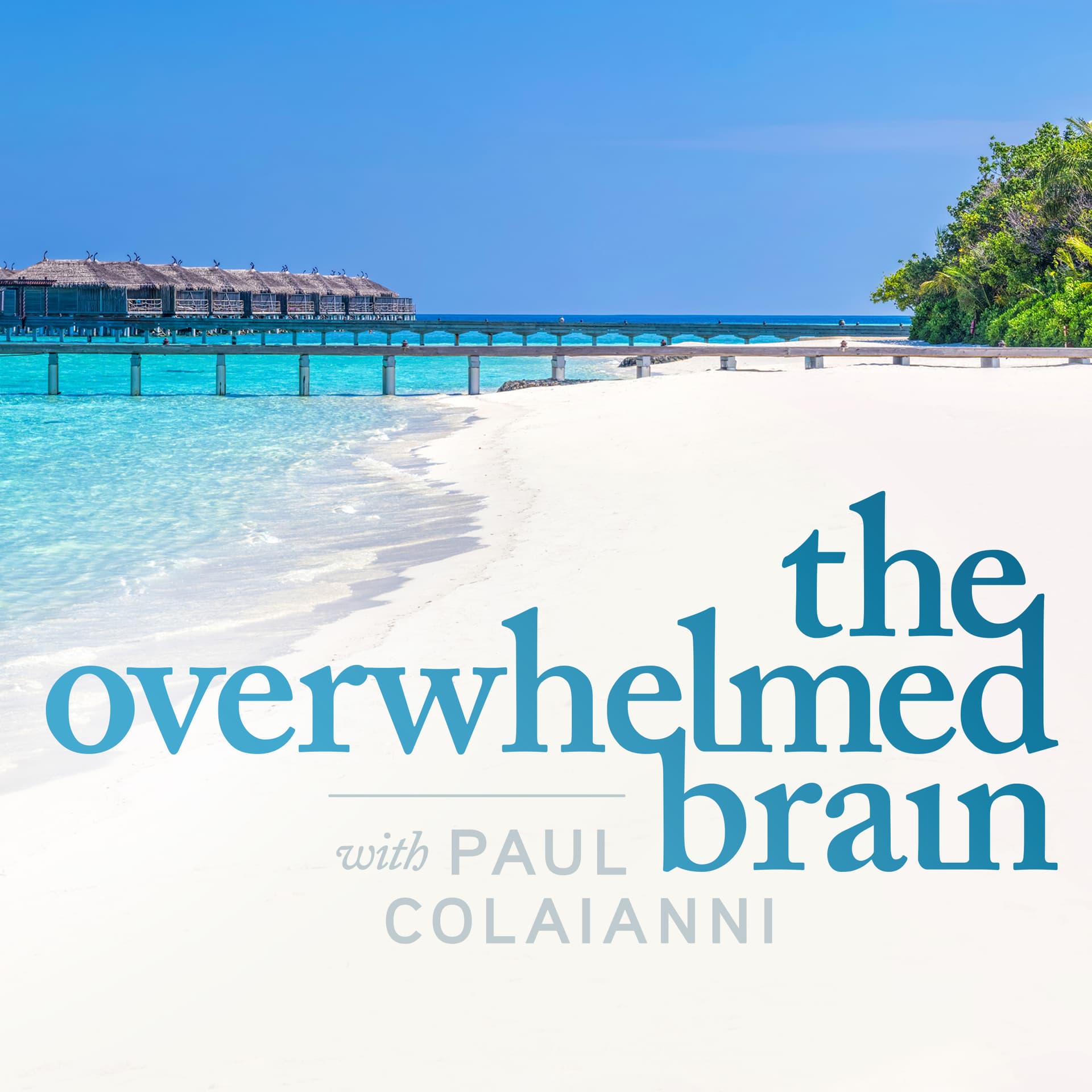 The Overwhelmed Brain - Podcasts