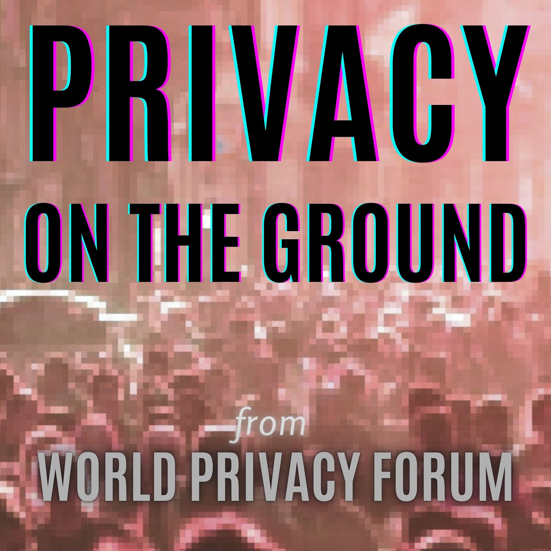 Privacy On The Ground - Podcasts