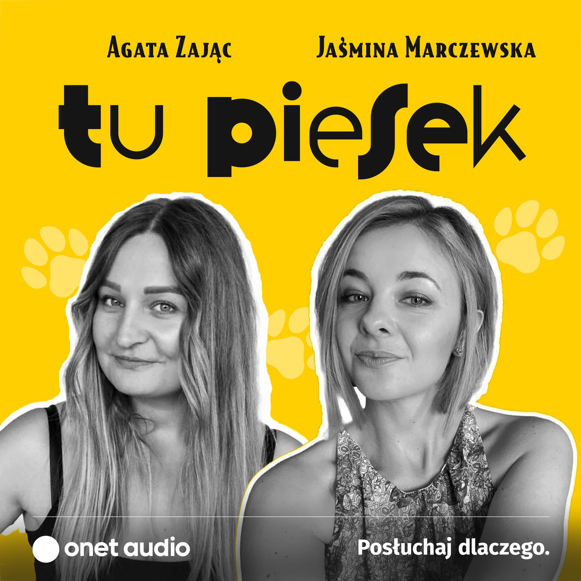 Tu piesek - Podcasts
