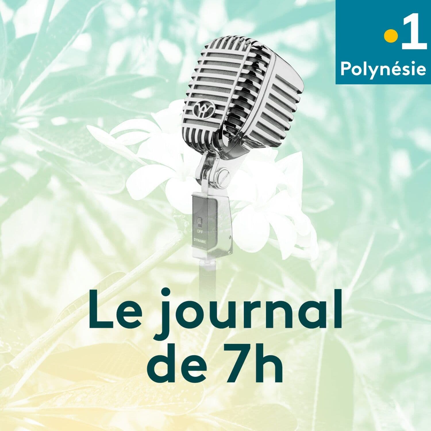 Le journal de 7h - Polynésie - Podcasts