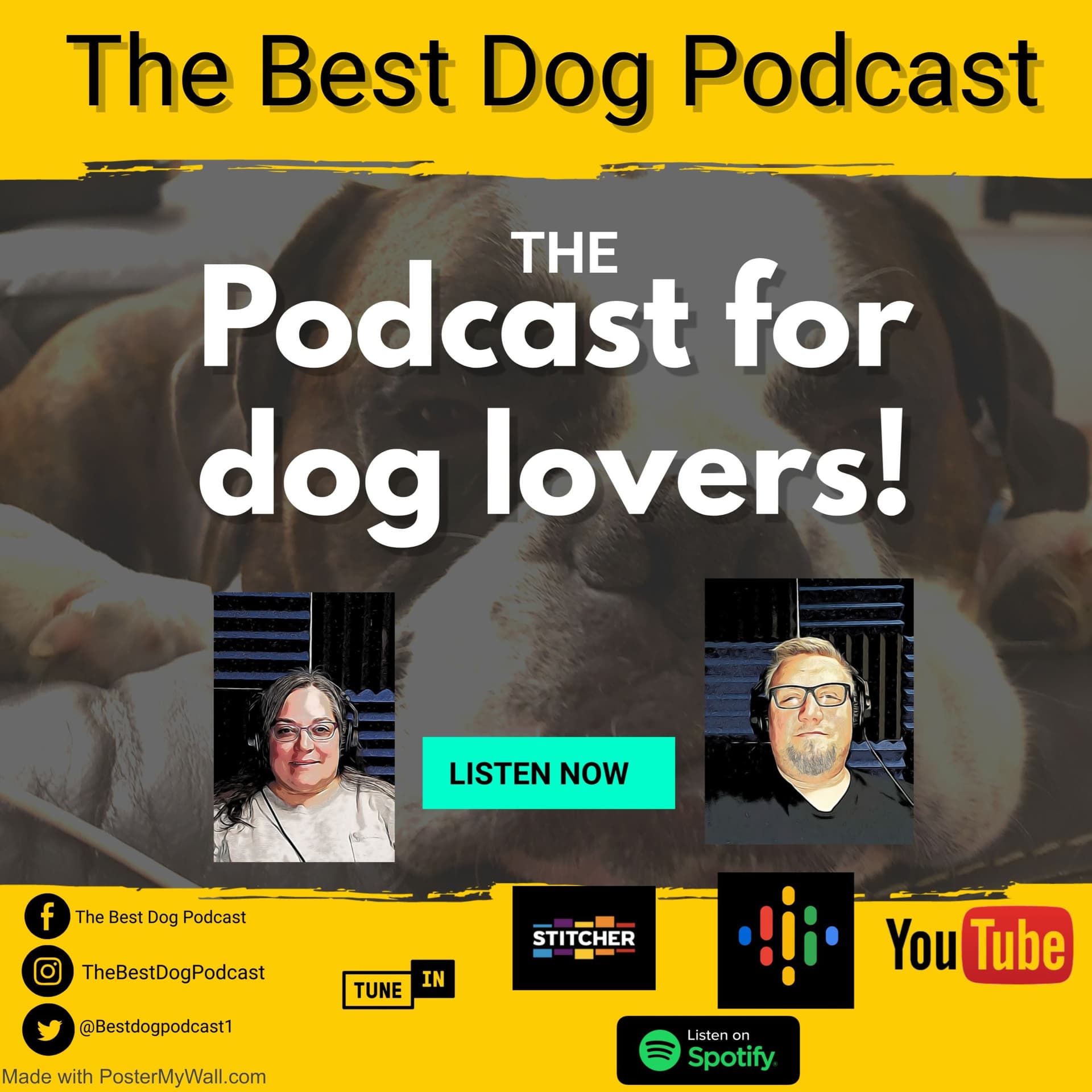 Best Dog Podcast - Podcasts
